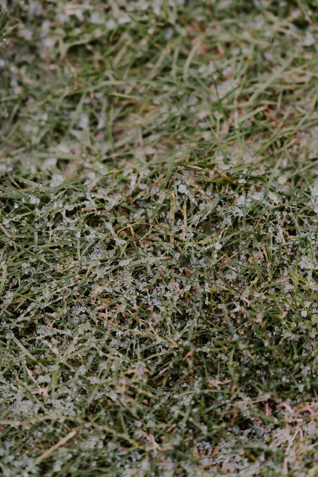 R&K Wedding - Ceremony (6 of 132).jpg