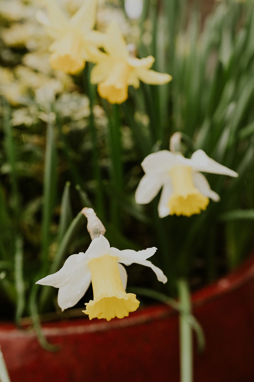 S&D - Getting Ready (1 of 6).jpg