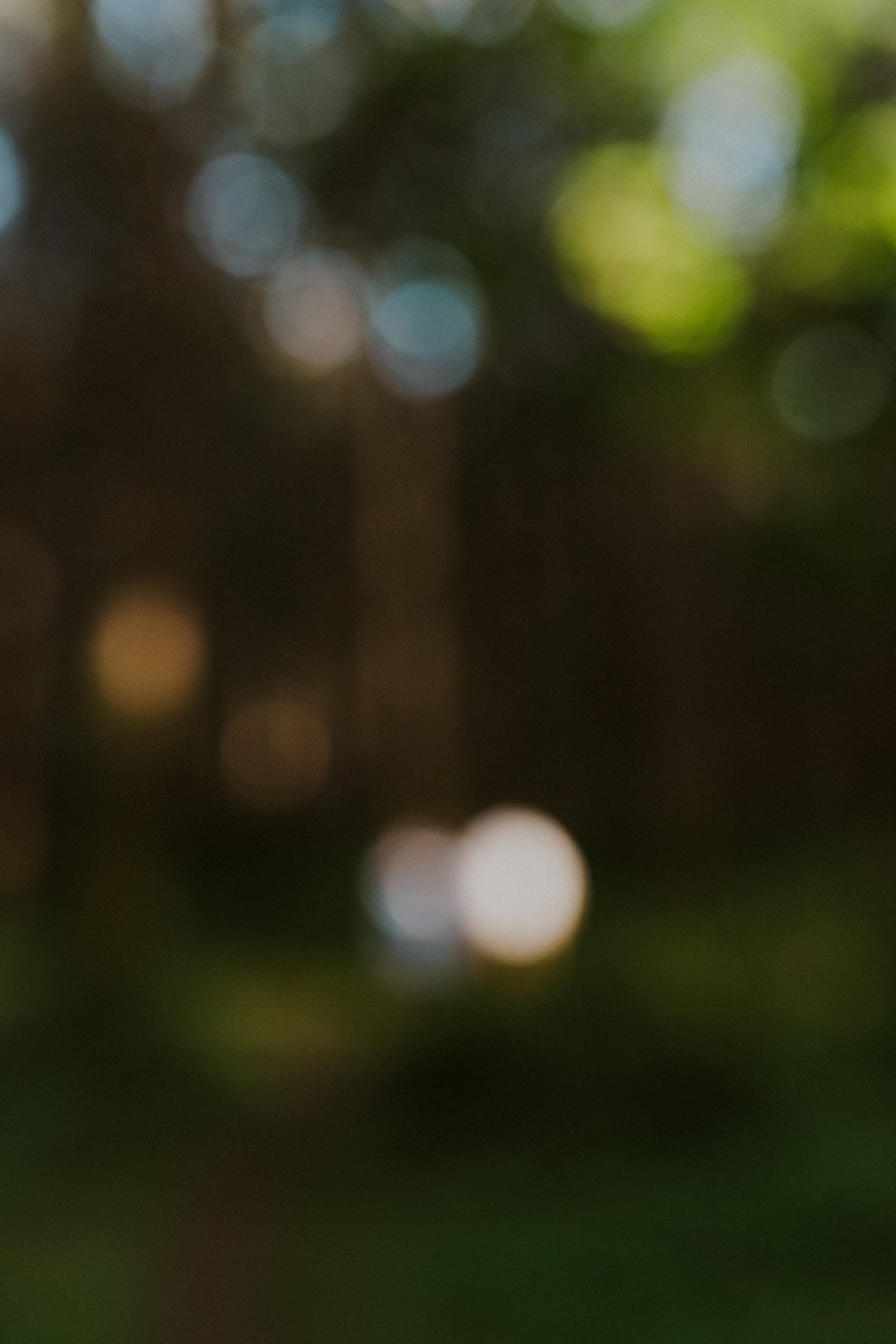 K&T Engagement Photos - Vashon Island-24.jpg