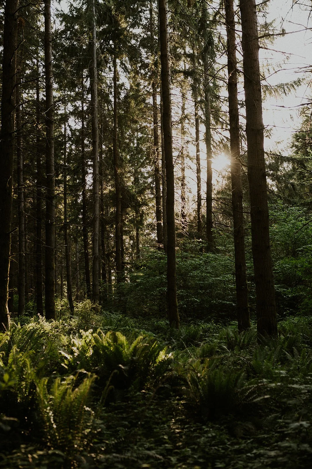 K&T Engagement Photos - Vashon Island-29.jpg