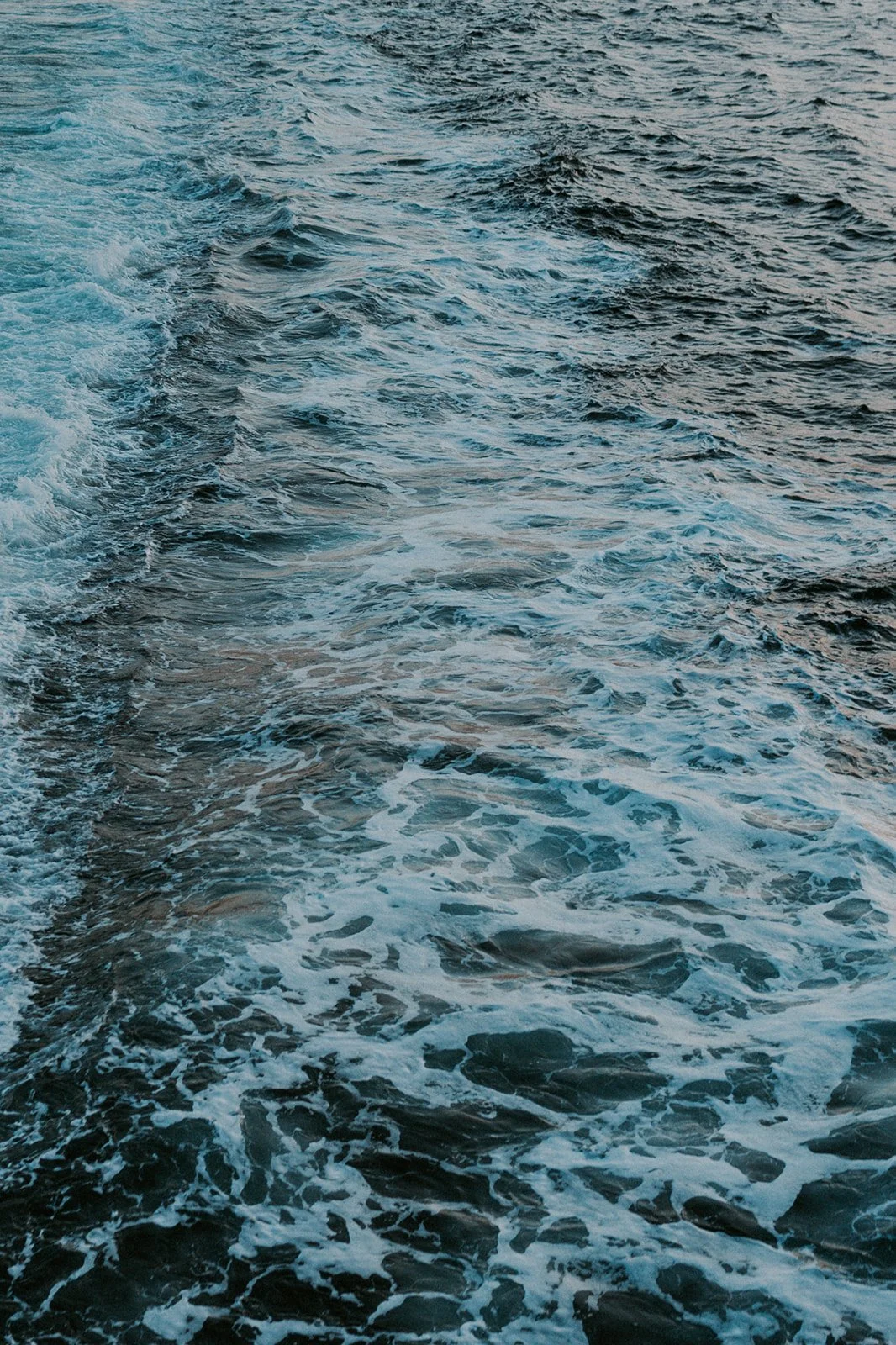 K&T Engagement Photos - Vashon Island-96.jpg