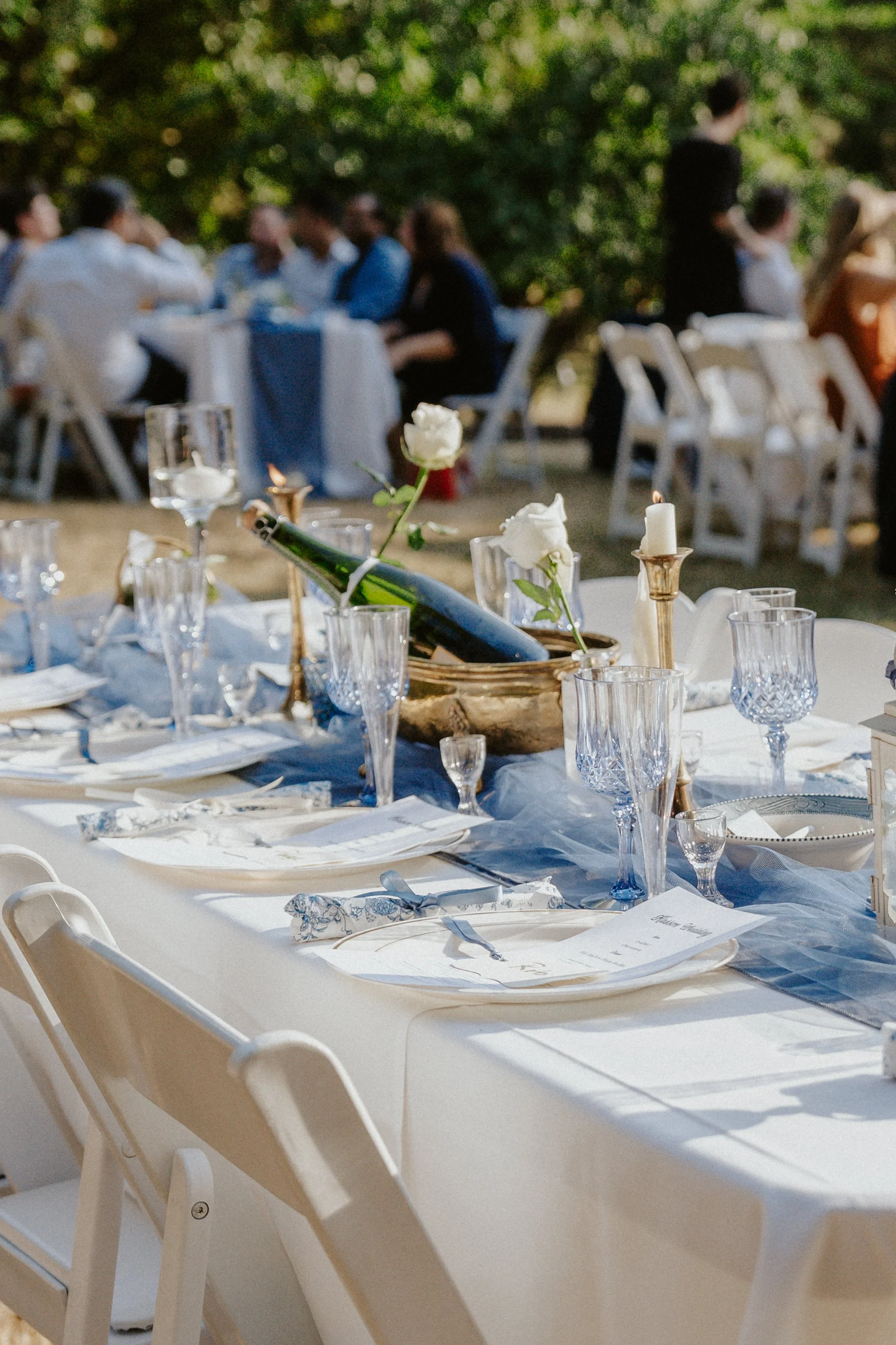 Sustainable Weddings 101: How to Celebrate Without the Carbon Guilt