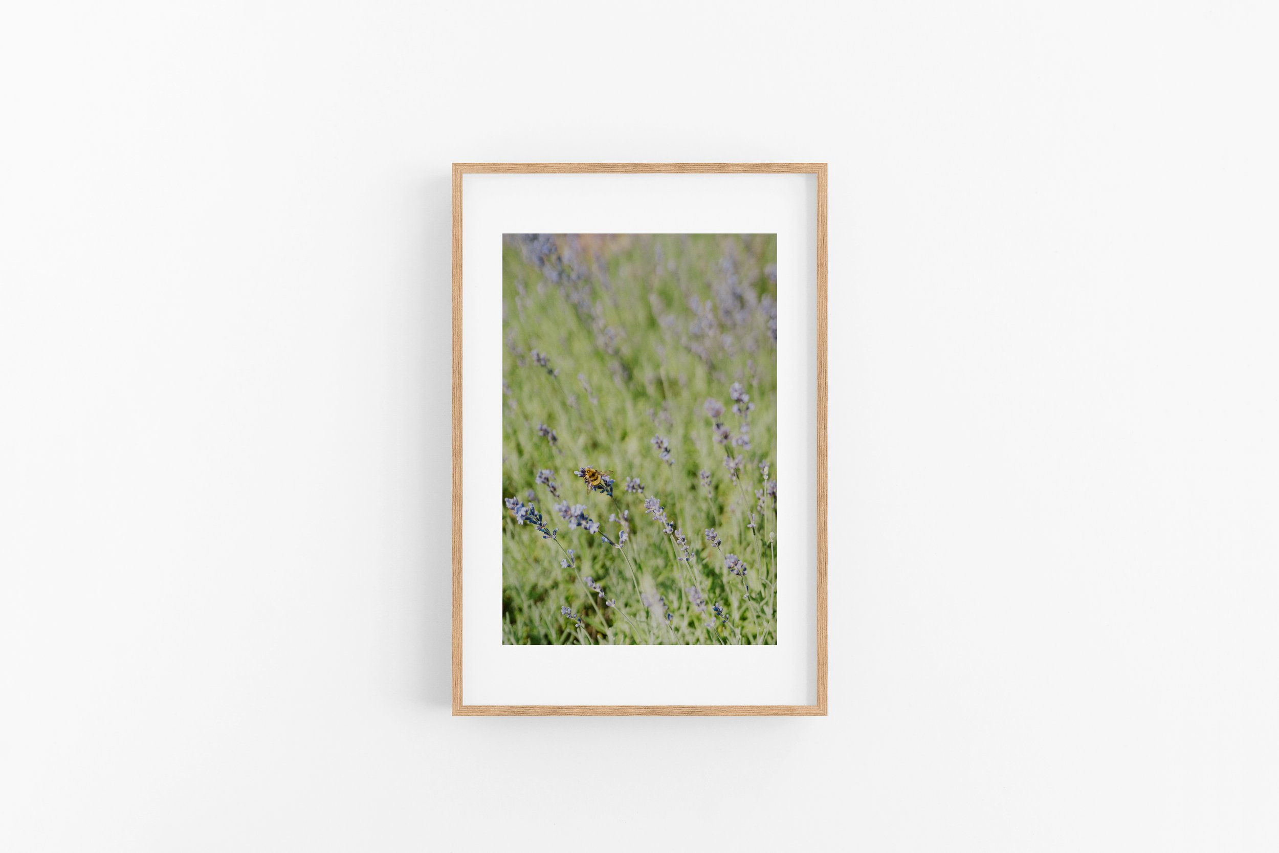 Pollinator - Matted Brown Frame.jpg