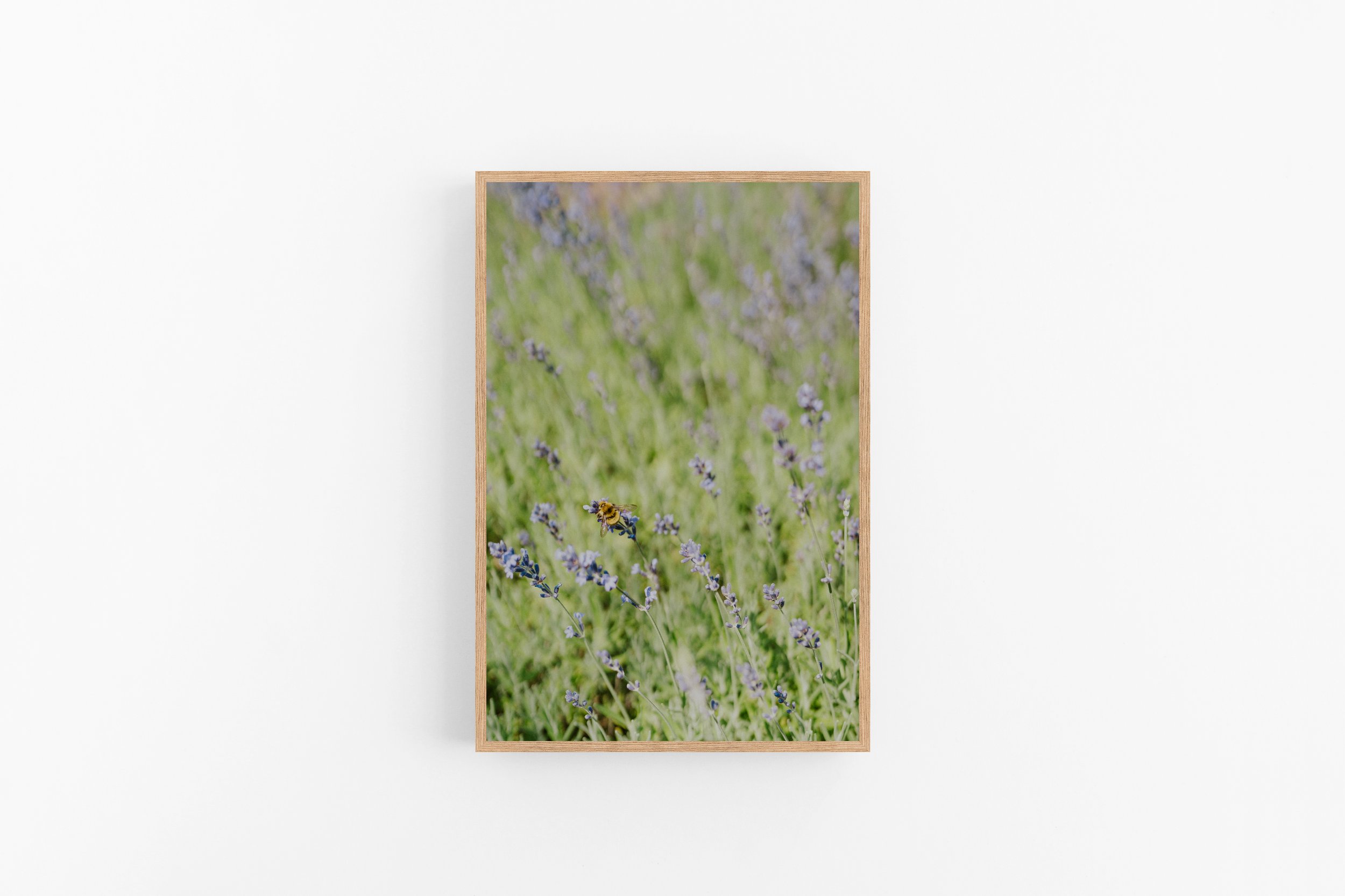 Pollinator - Full Frame.jpg