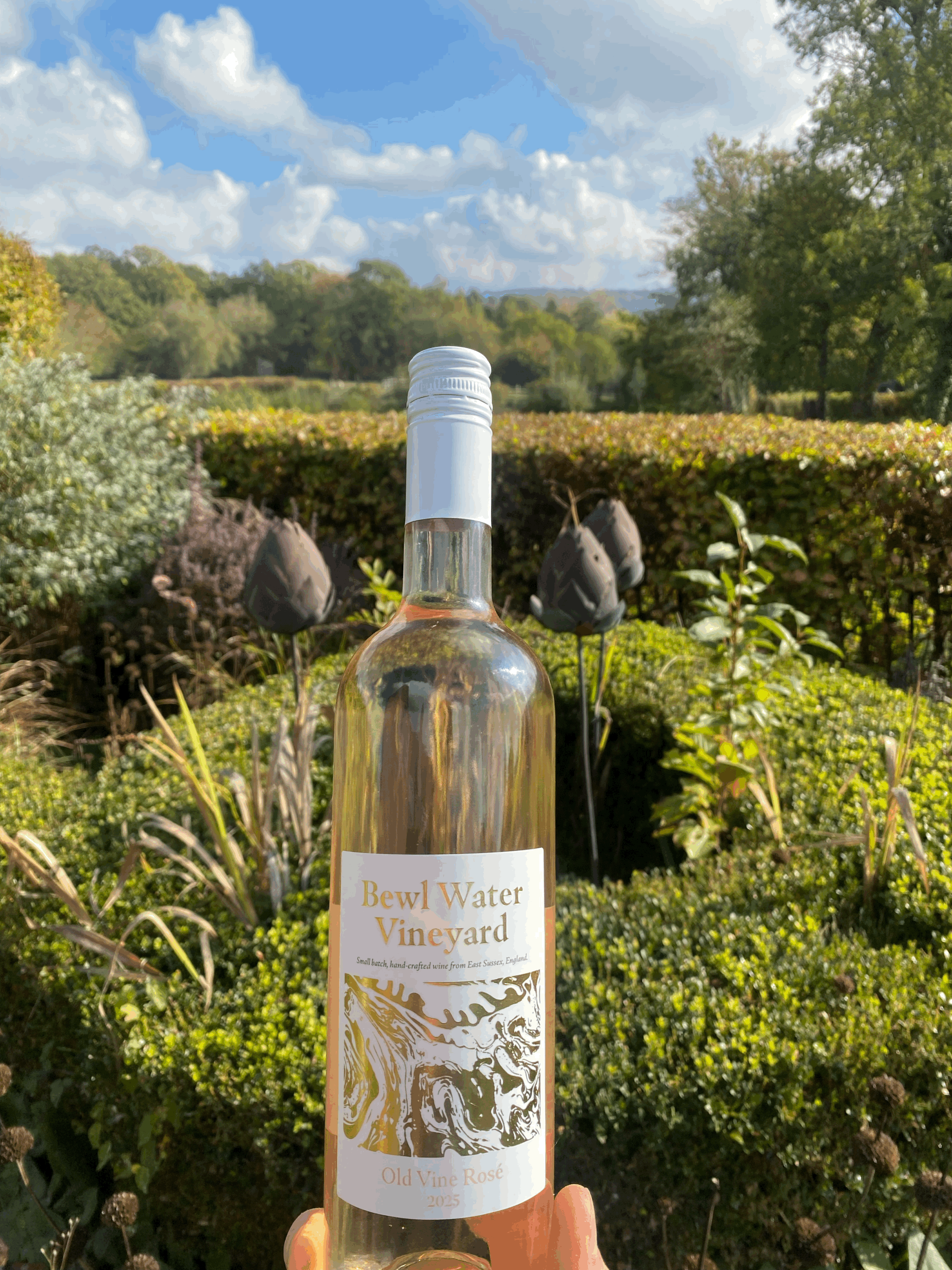 Old Vine Rosé 2025
