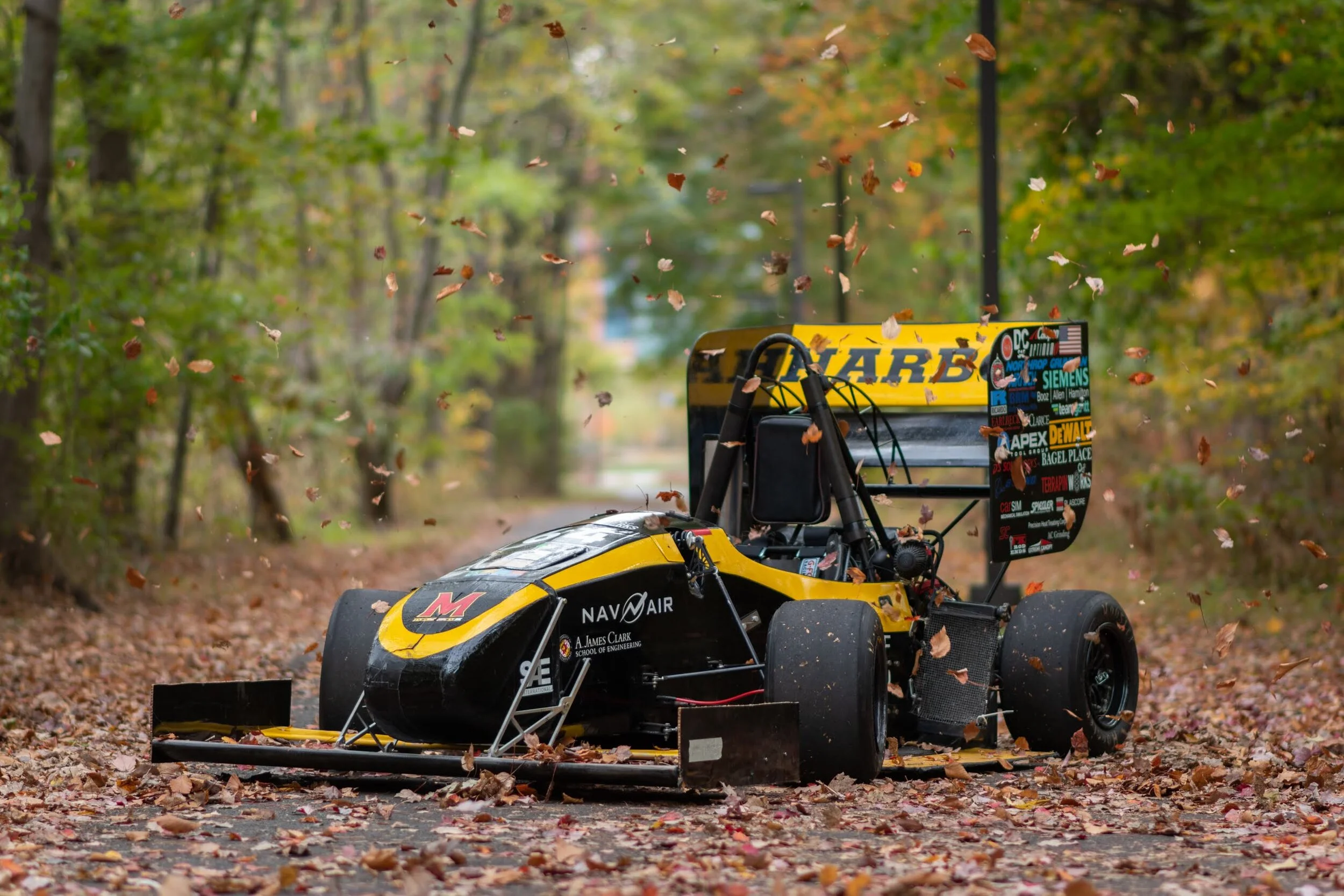 Leaves Glamor Shot.jpg