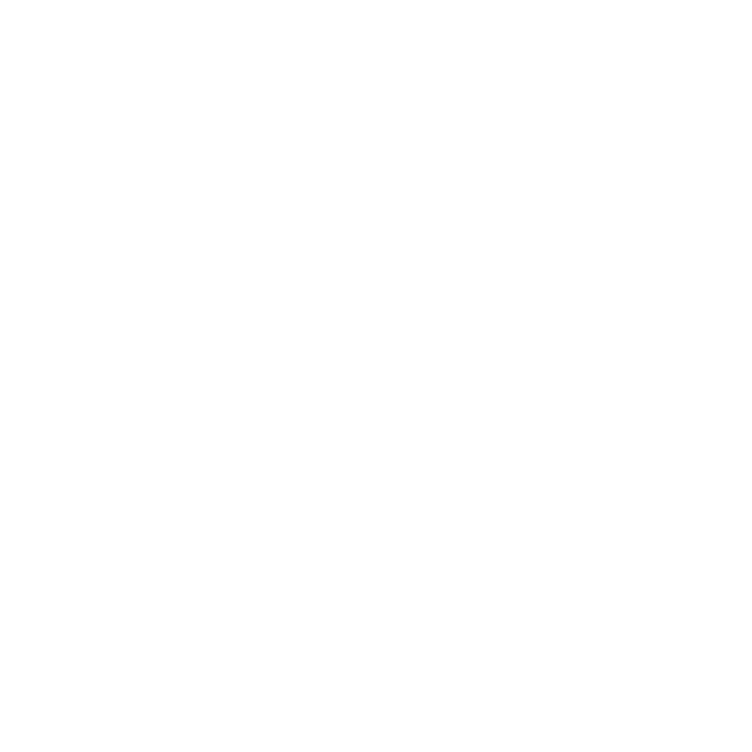 The Lady In Style