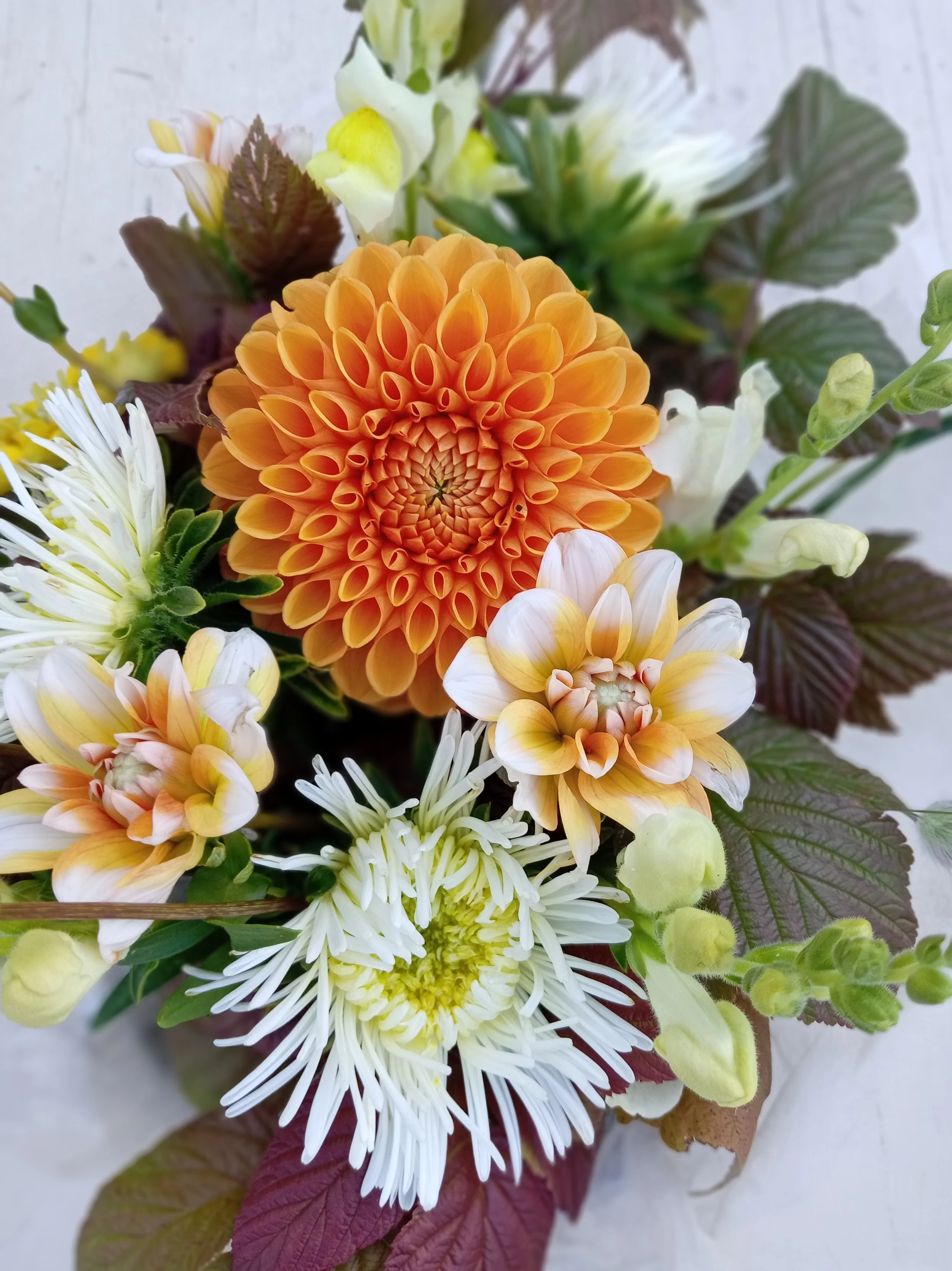 Melkkolan Leikkokukkatila