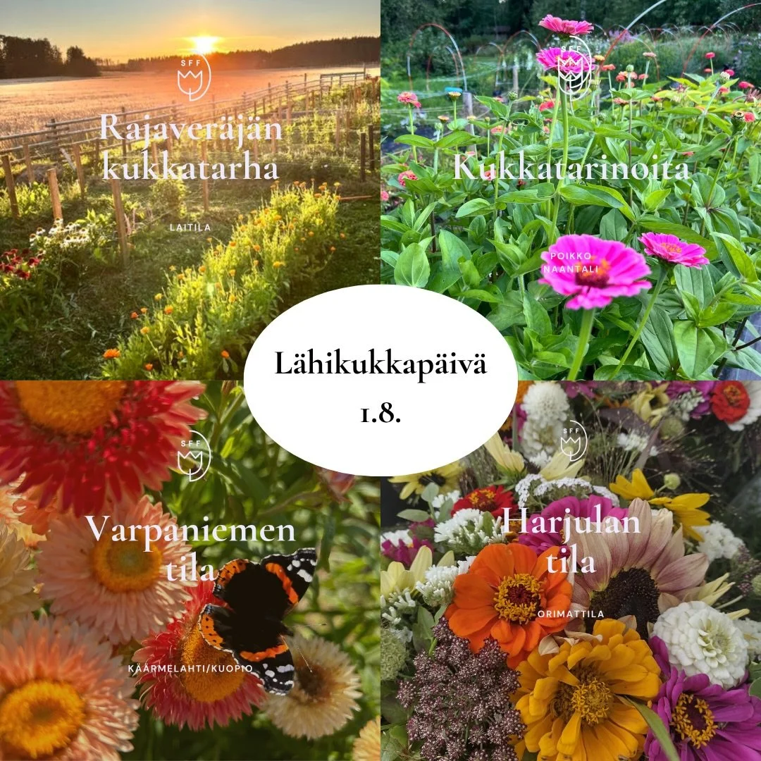 L&auml;hikukkap&auml;iv&auml; 1.8.2026 🌸

T&auml;ss&auml; esittelyss&auml; seuraavat nelj&auml; tilaa, jotka osallistuvat p&auml;iv&auml;&auml;n! Kerromme p&auml;iv&auml;&auml;n osallistuvista tiloista sometileill&auml;mme hein&auml;kuun aikana. Lis