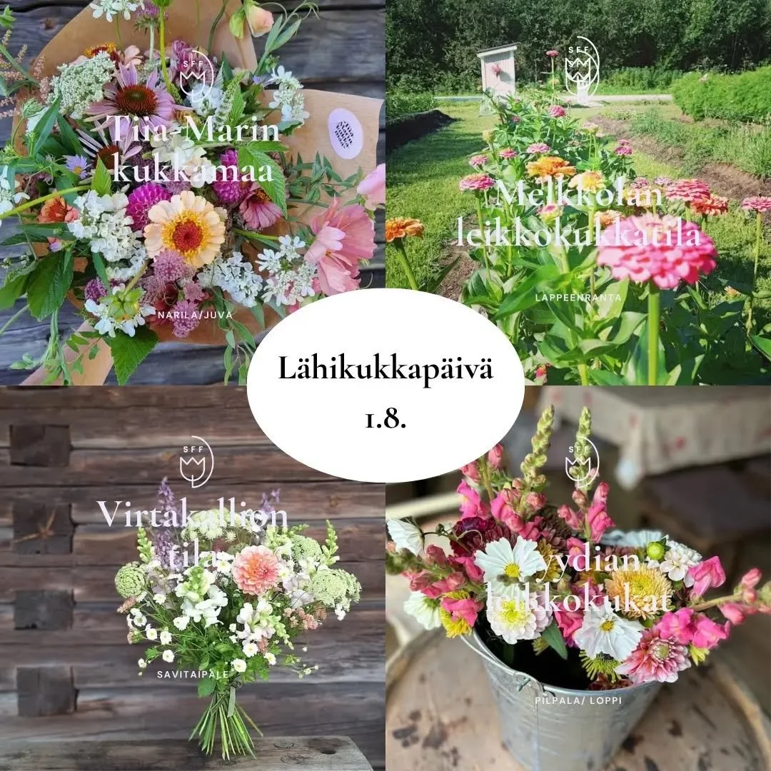 L&auml;hikukkap&auml;iv&auml;&auml; vietet&auml;&auml;n 1.8.2026 🌸

T&auml;ss&auml; esittelyss&auml; nelj&auml; p&auml;iv&auml;&auml;n osallistuvaa tilaa tarkemmin! Kerromme p&auml;iv&auml;&auml;n osallistuvista tiloista sometileill&auml;mme hein&au