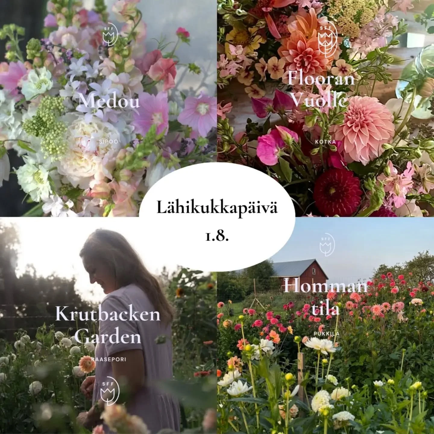 L&auml;hikukkap&auml;iv&auml;&auml; vietet&auml;&auml;n 1.8.2026 🌸

T&auml;ss&auml; esittelyss&auml; nelj&auml; p&auml;iv&auml;&auml;n osallistuvaa tilaa tarkemmin! Kerromme p&auml;iv&auml;&auml;n osallistuvista tiloista sometileill&auml;mme hein&au