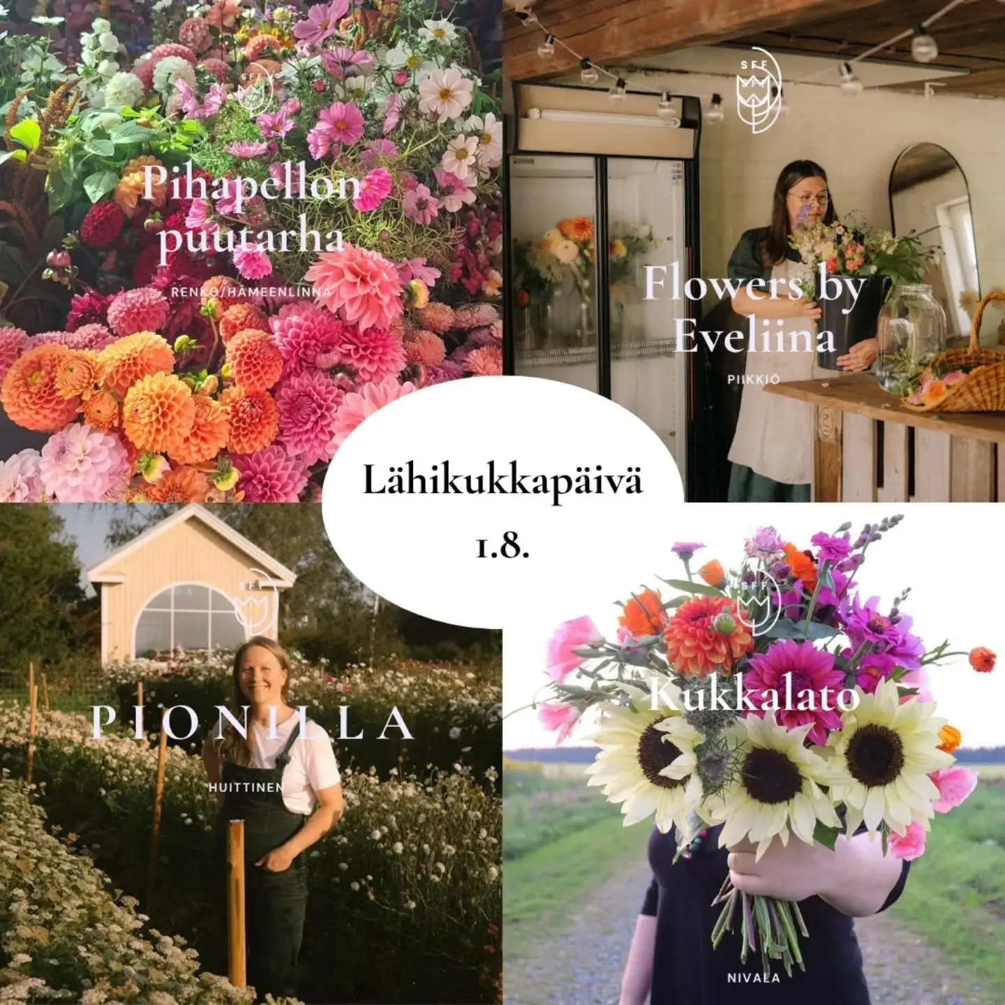 L&auml;hikukkap&auml;iv&auml;&auml; vietet&auml;&auml;n 1.8.2026 🌸

T&auml;ss&auml; esittelyss&auml; nelj&auml; p&auml;iv&auml;&auml;n osallistuvaa tilaa tarkemmin! Kerromme p&auml;iv&auml;&auml;n osallistuvista tiloista sometileill&auml;mme hein&au