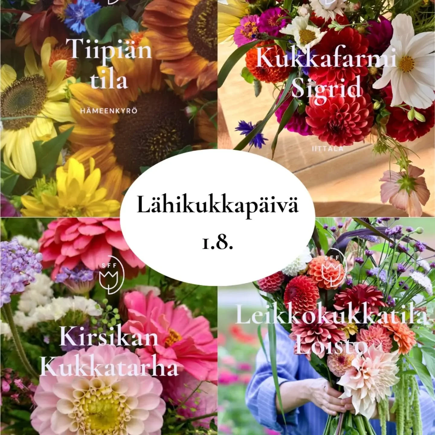 L&auml;hikukkap&auml;iv&auml;&auml; vietet&auml;&auml;n 1.8.2026 🌸

T&auml;ss&auml; esittelyss&auml; nelj&auml; p&auml;iv&auml;&auml;n osallistuvaa tilaa tarkemmin! Kerromme p&auml;iv&auml;&auml;n osallistuvista tiloista sometileill&auml;mme hein&au
