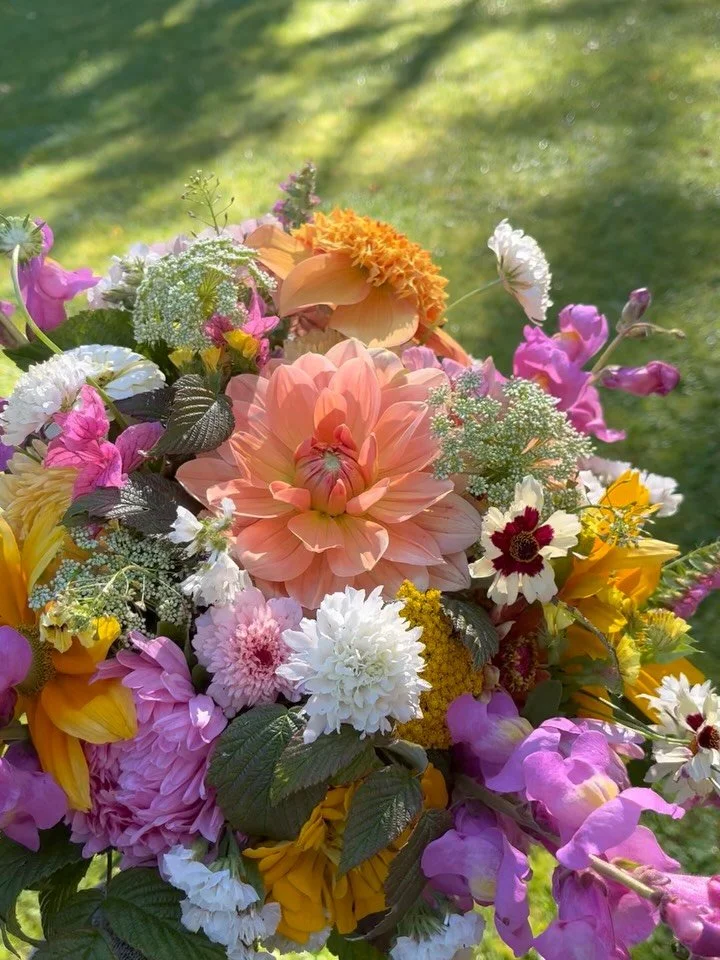 Tarhaneidon kukkatila kiitt&auml;&auml; kuluneesta viikosta! T&auml;ss&auml; viel&auml; kes&auml;n kukkakauneutta kimppuina 💐.

Pian kalenterin lehti k&auml;&auml;ntyy jo syyskuuhun 🌼🍂. Syyskuu on l&auml;hikukkatilalla kaunis siirtym&auml;vaihe: k