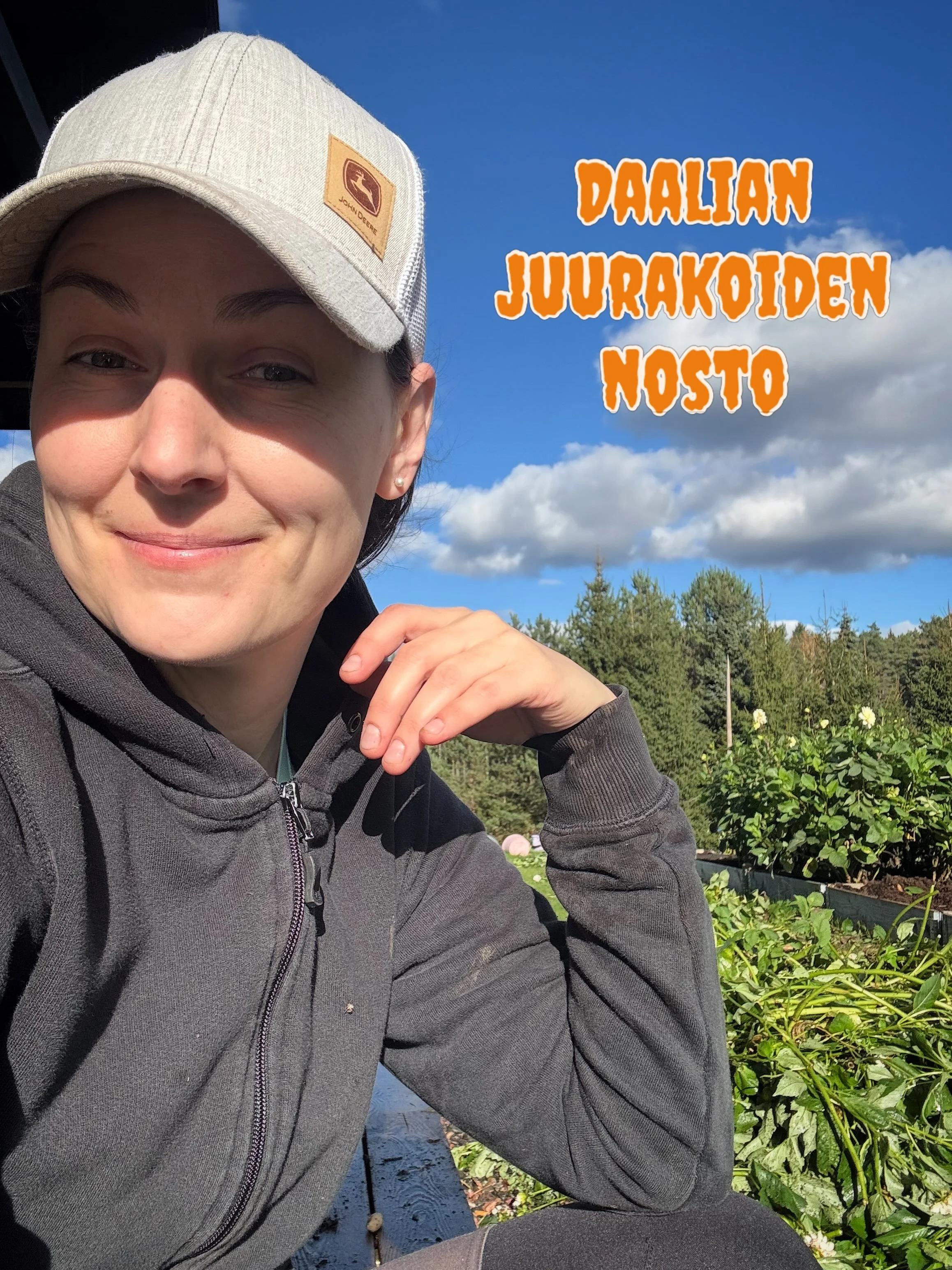 Daalian juurakoiden nosto🪏

Kukkakausi p&auml;&auml;ttyy t&auml;&auml;ll&auml; daalioiden juurakoiden nostoon ja tulppaanin sipuleiden istutukseen. Pakkanen ei ole daalioita viel&auml;k&auml;&auml;n kunnolla puraissut, mutta sit&auml; ei nyt j&auml;