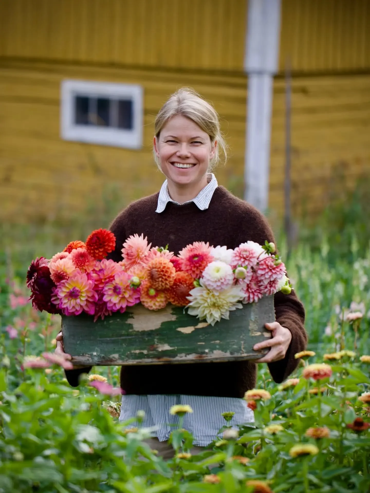 Voiko kukilla her&auml;tt&auml;&auml; vanhan sukutilan uuteen loistoon? 🌸

M&auml; olen Malla, ja mulla on haave.

Kasvatan leikkokukkia &auml;itini vanhalla sukutilalla Asikkalassa, P&auml;ij&auml;t-H&auml;meess&auml;. Tilan nimi on Loisto, eik&aum
