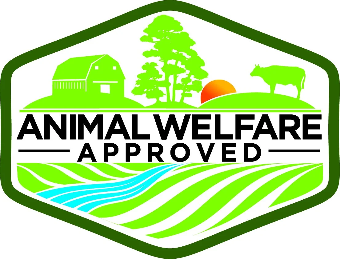 GRAZIN ANGUS ACRES — Grazin' Farm to Table Direct!