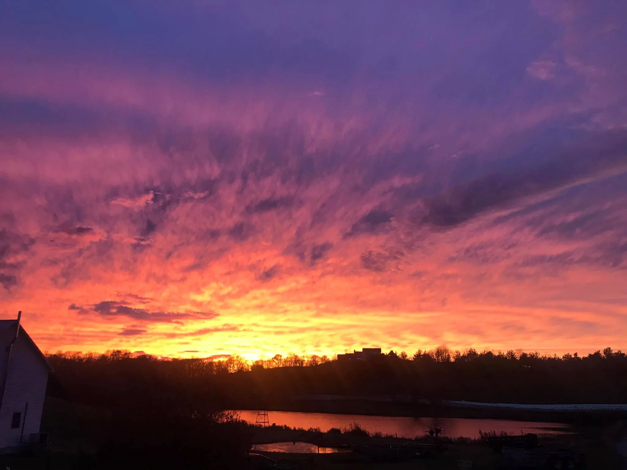 GRAZIN ANGUS ACRES — Grazin' Farm to Table Direct!