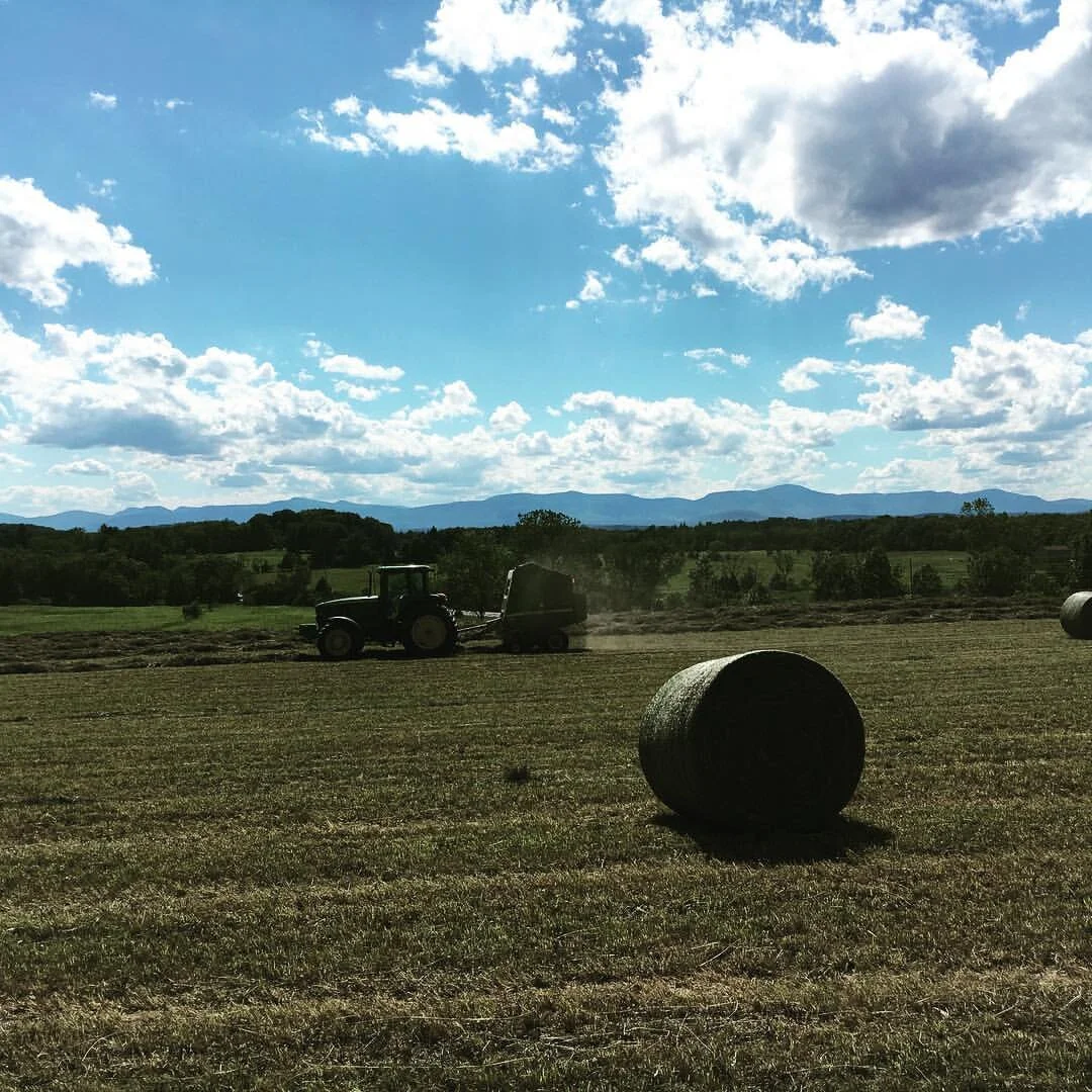 GRAZIN ANGUS ACRES — Grazin' Farm to Table Direct!