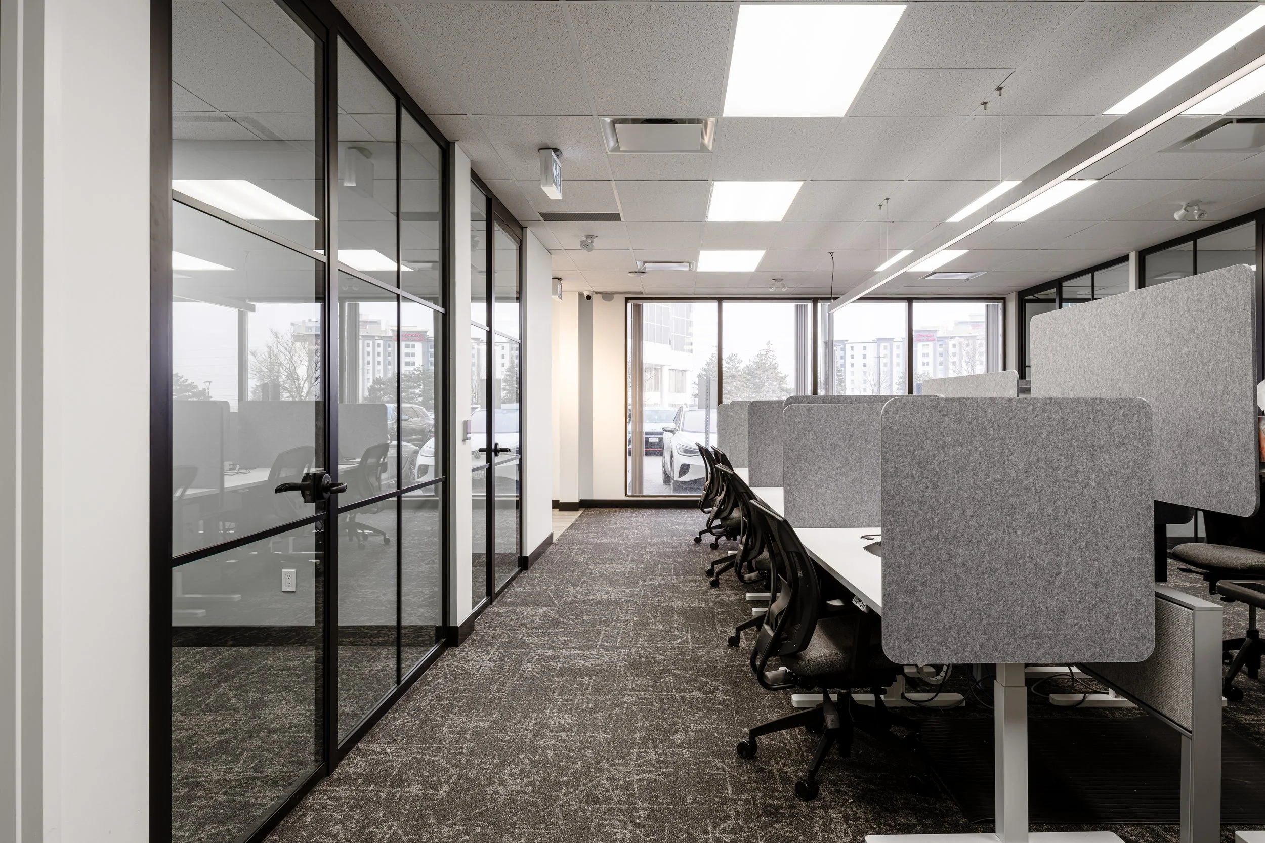 2602_Britacan_TFI (005 of 005).jpg