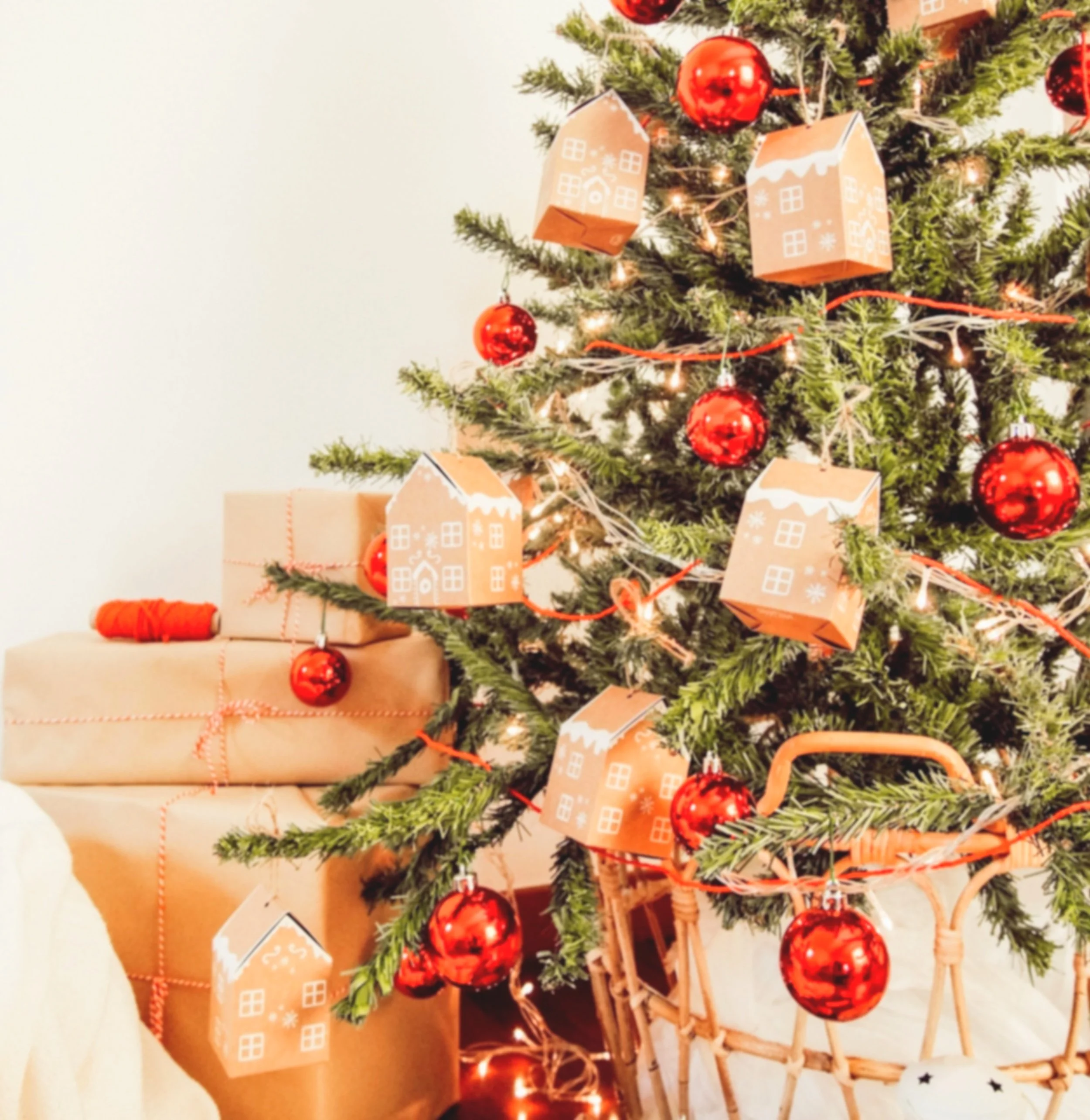 Christmas Giving Project - $20 gift