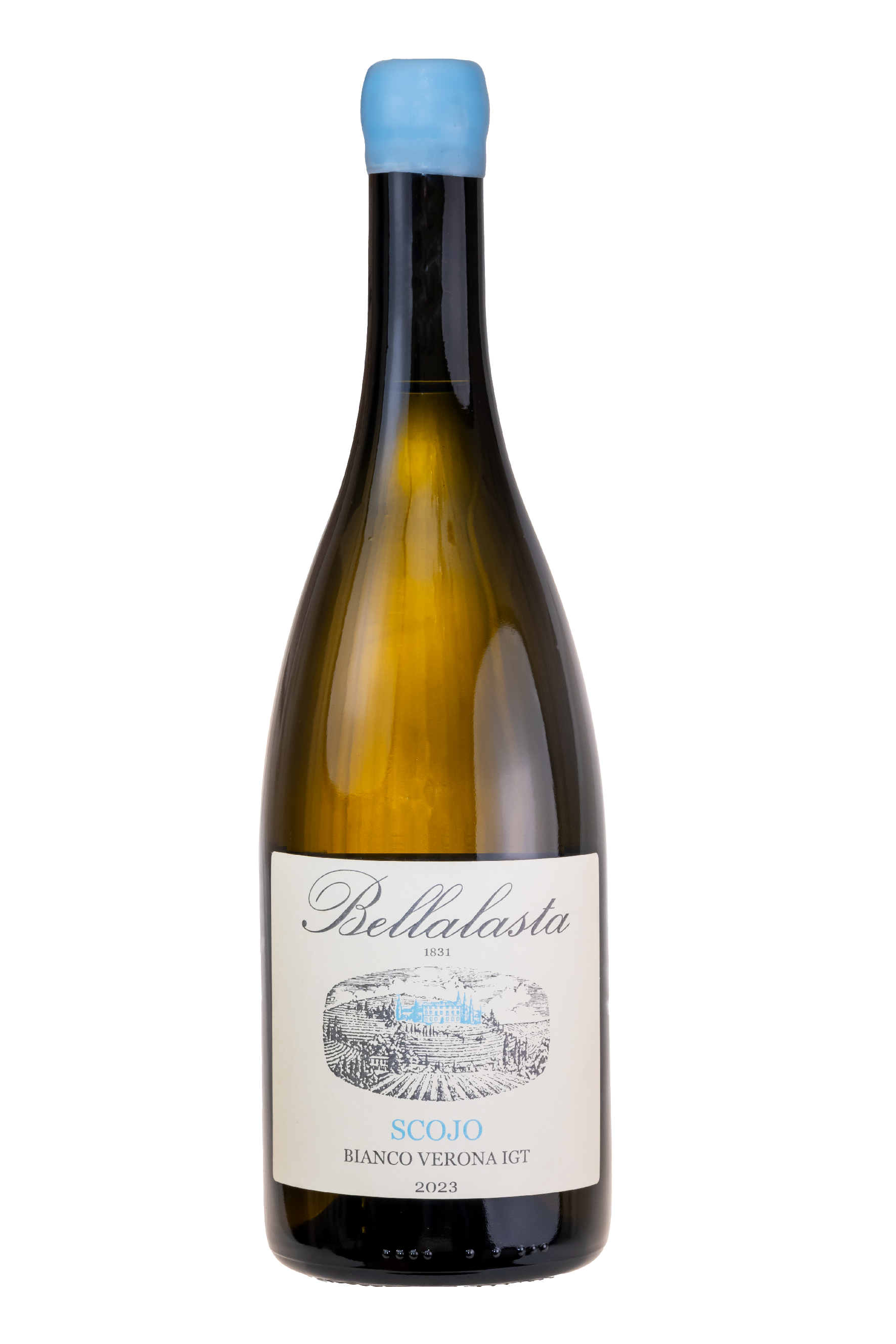 scojo bellalasta white vine.png
