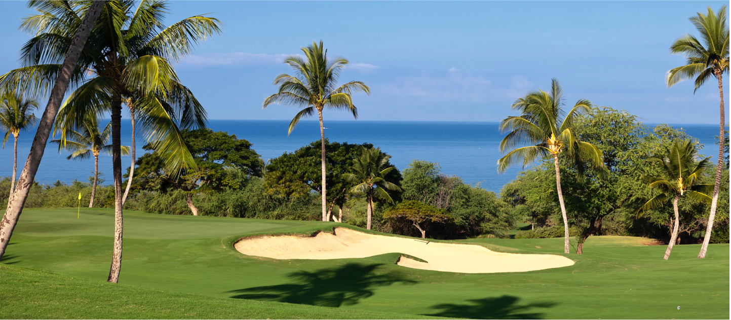 Clubessential Pos Integration Yellow Dog Software