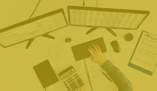 Yellow Software Data Services — Yellow Dog Software