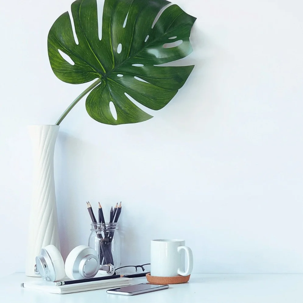 Minimalist workspace with a Monstera leaf in a vase, black pencils in a jar, a notebook, headphones, glasses, a smartphone, and a white mug on a coaster.