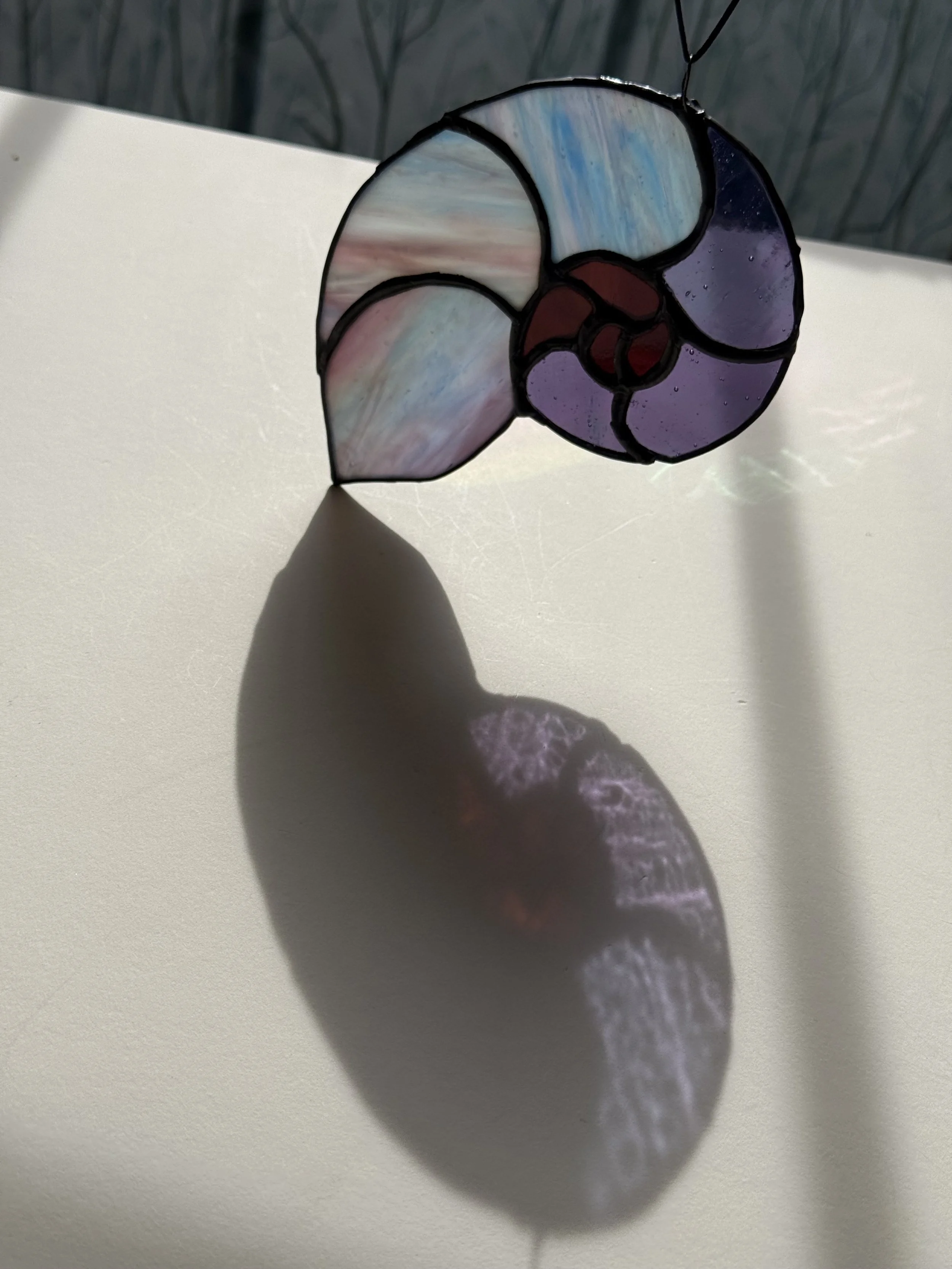 IMG_3240.jpeg