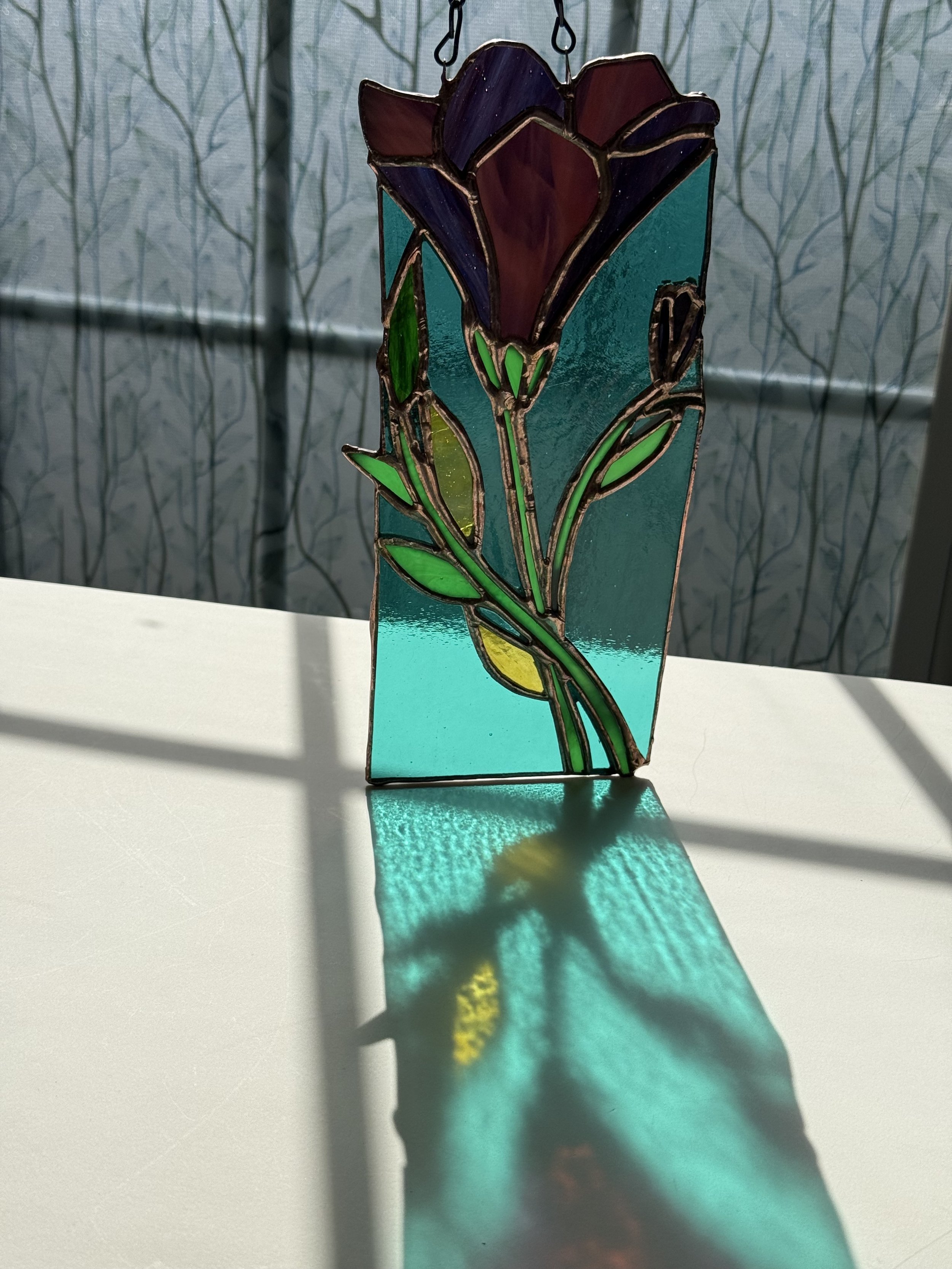 IMG_3162.jpeg