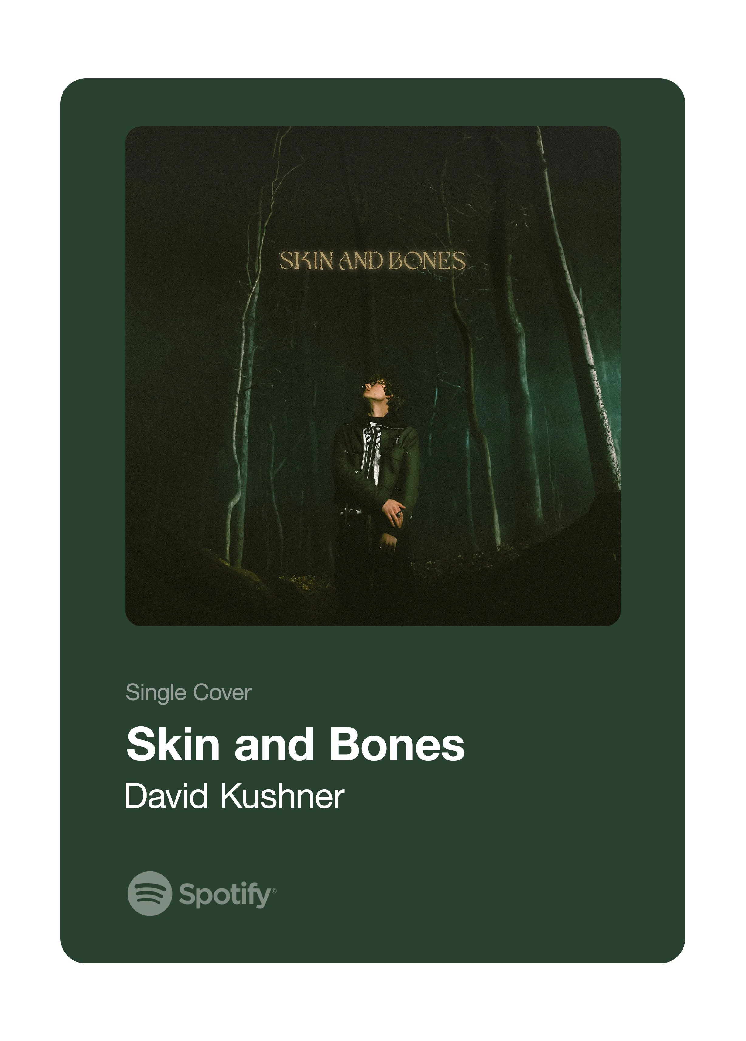 Sunny&Sunday_ZacLawrence_DesignCovers_davidkushner.jpg