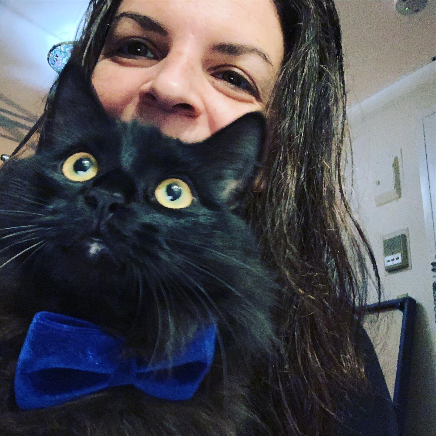 It&rsquo;s #gotchaday ! Happy Adoptiversary to my #funnyhoney Amos. He was only 2lbs when I brought him home, now 13 fluffy pounds! I miss the way he used to sleep on my neck for hours but I suppose it&rsquo;s better that he sleeps next to me now. #b