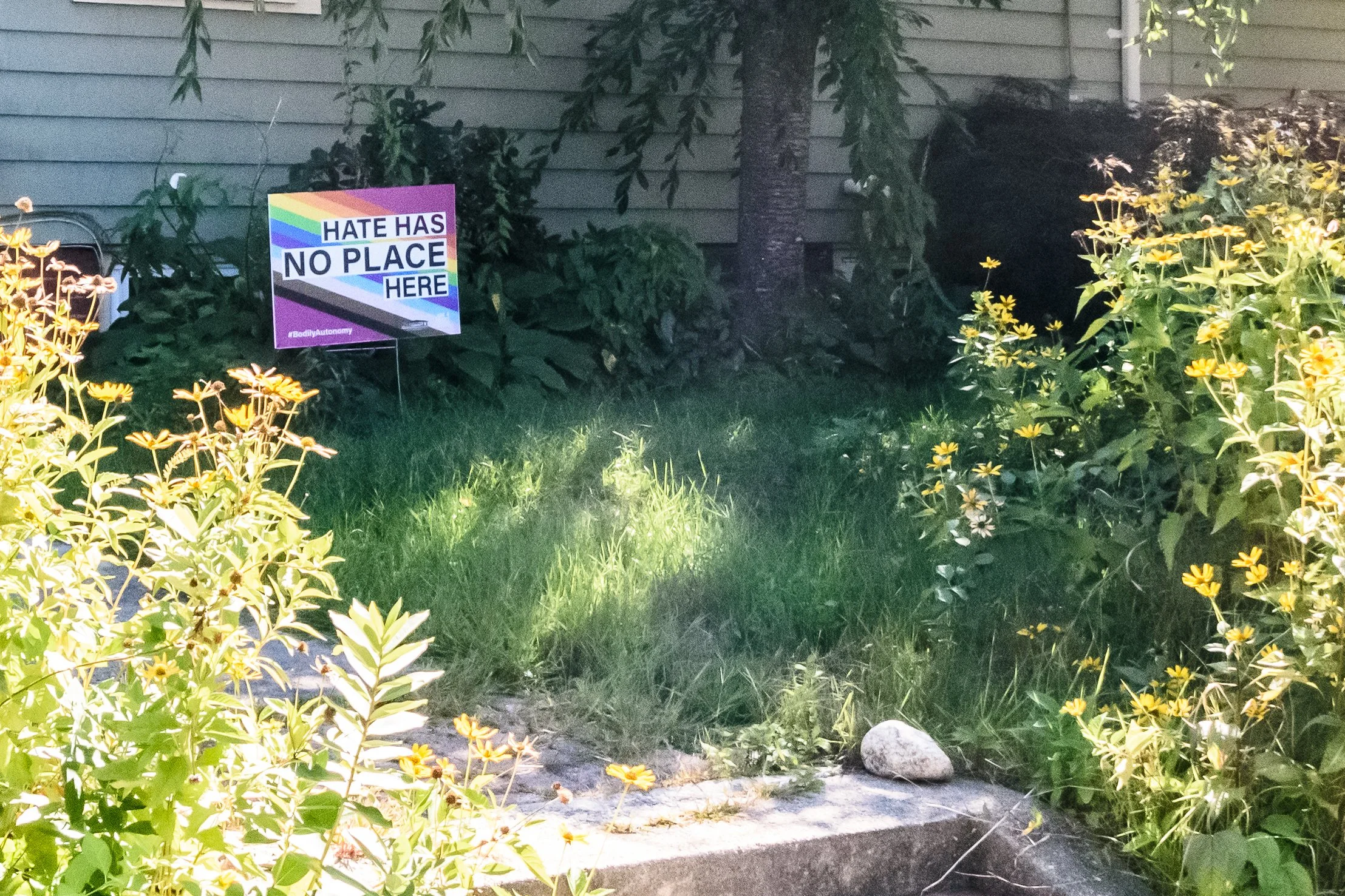 Canvassing with New Cranston Democrats - Ward 2