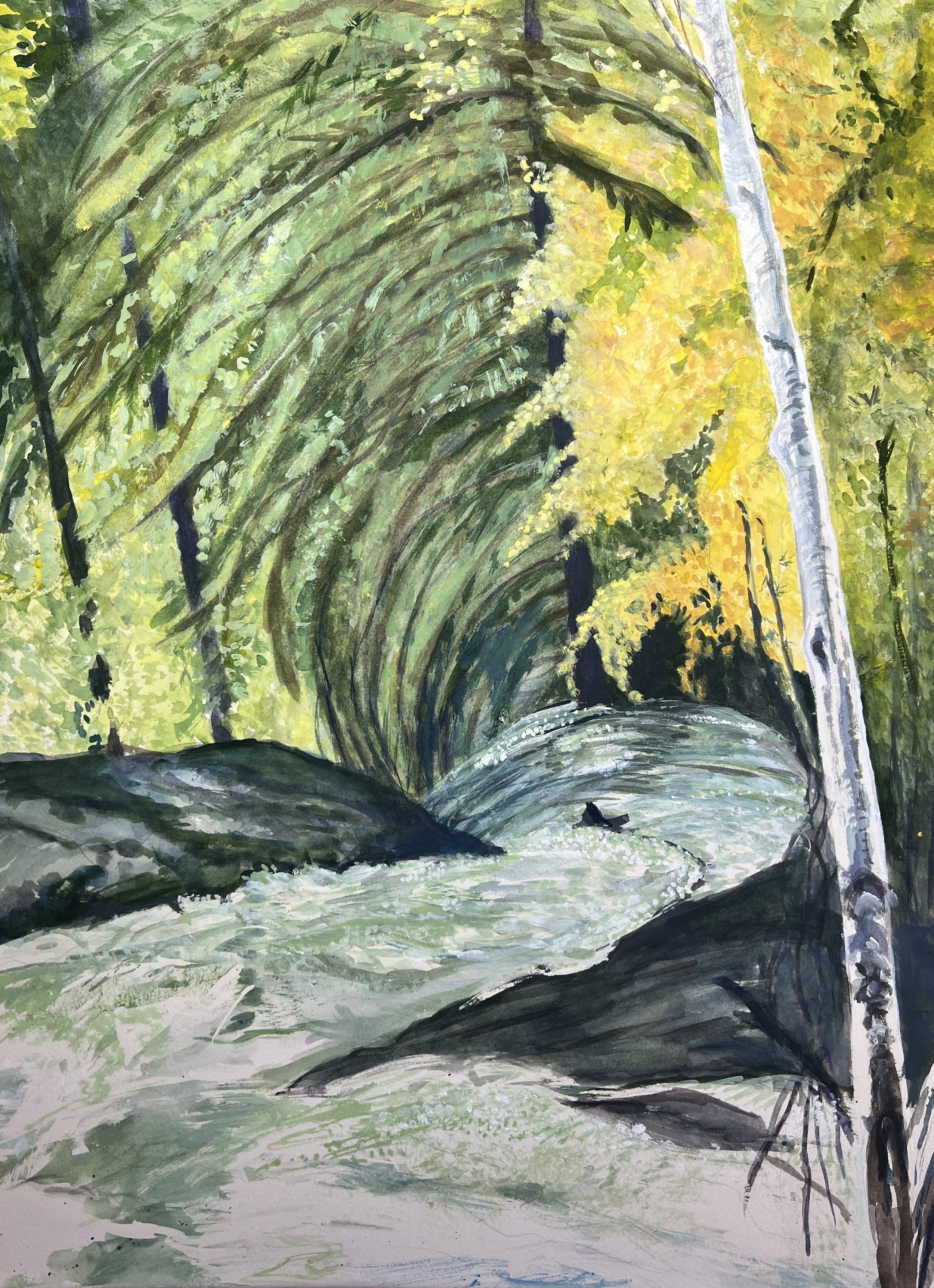 Cameron Falls Overflow