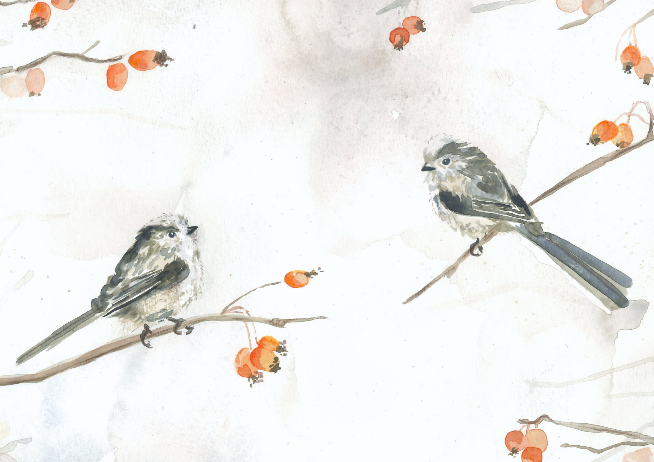 Watercolor painting of small birds perched on branches with orange berries.