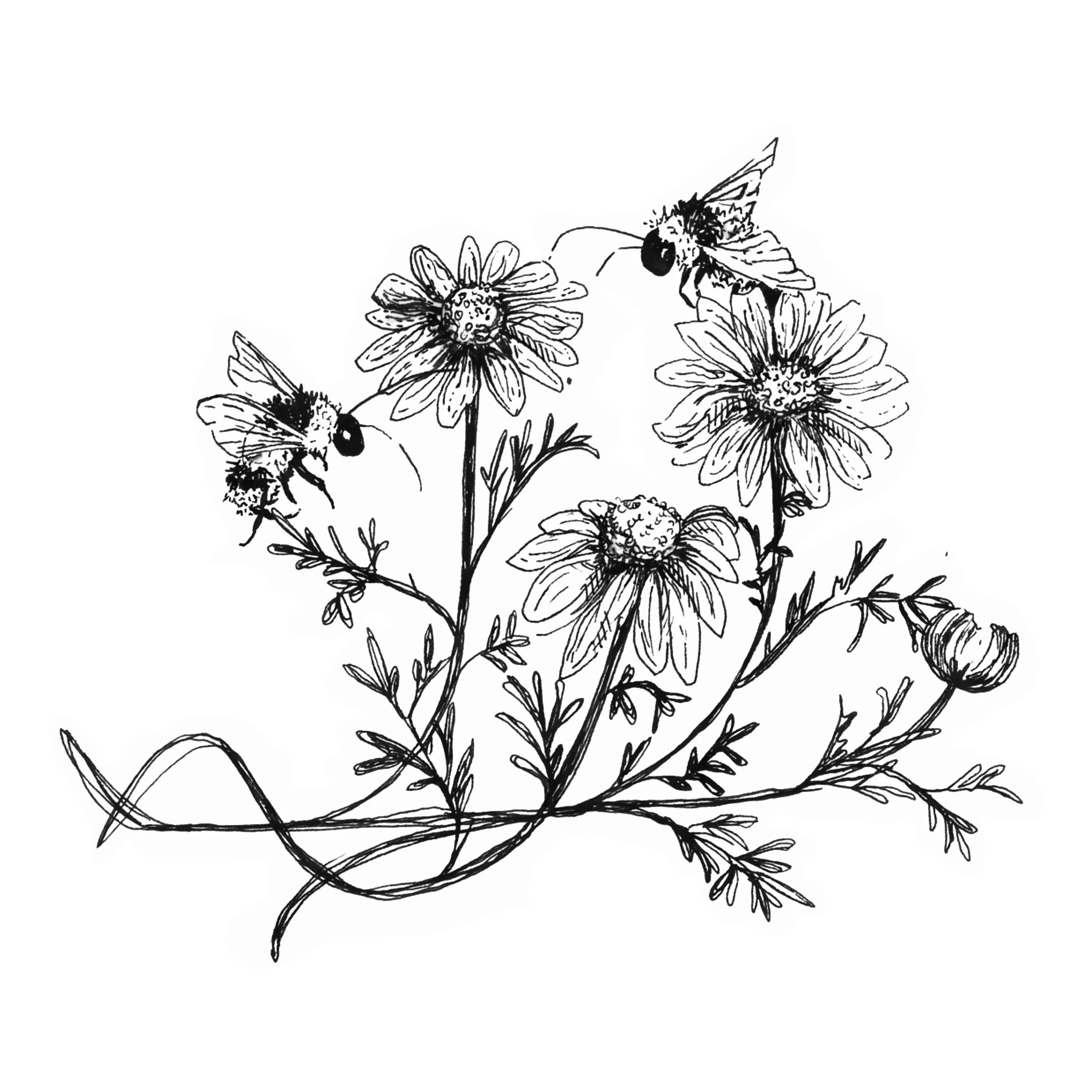 Black and white line drawing of a basket filled with various flowers and bees.