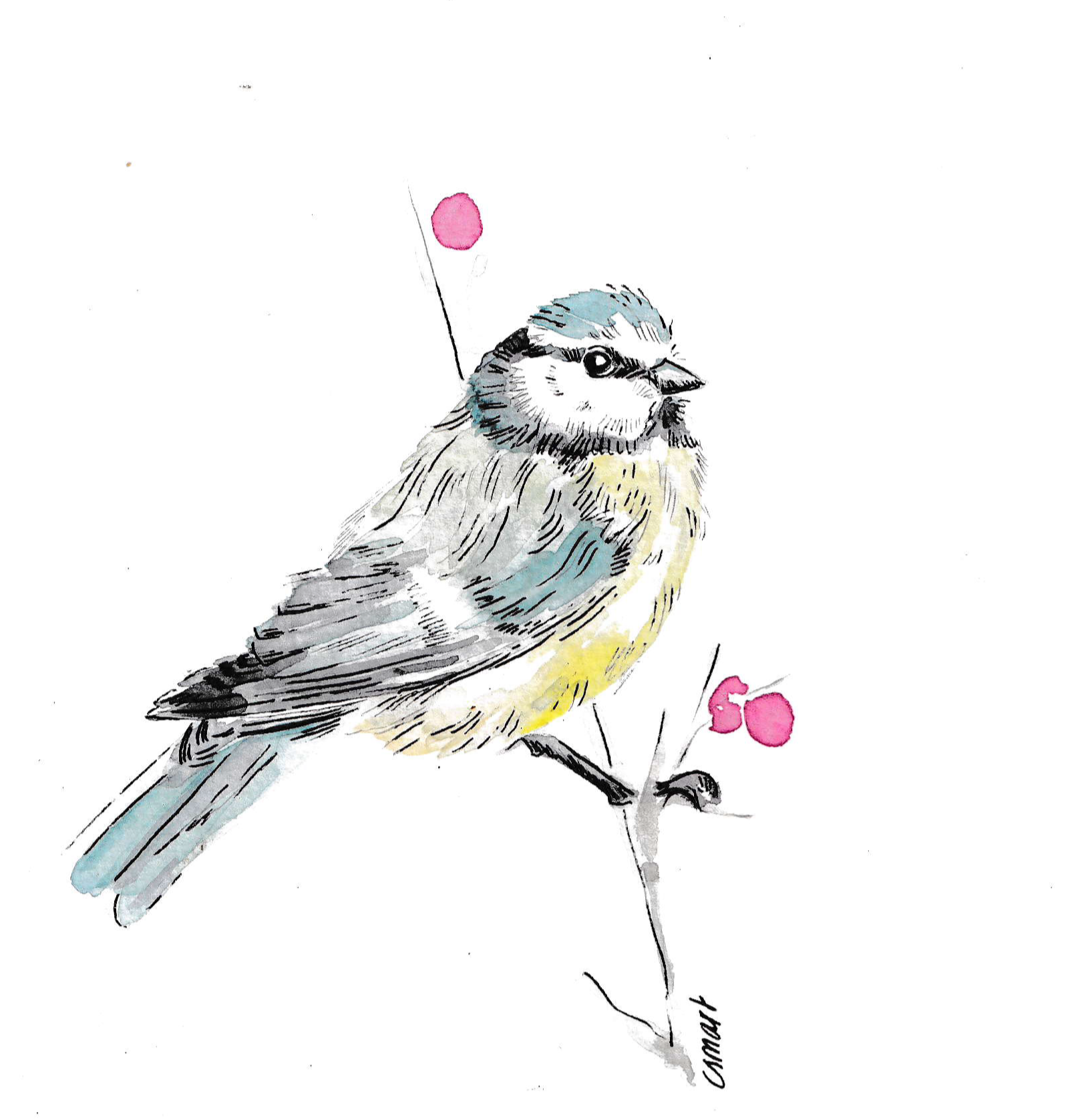 A watercolor illustration of a small Blue Tit bird,  perched on a branch with pink berries. The bird has a blue cap and yellow bib, white cheeks, and feathers in shades of gray, blue, and yellow.