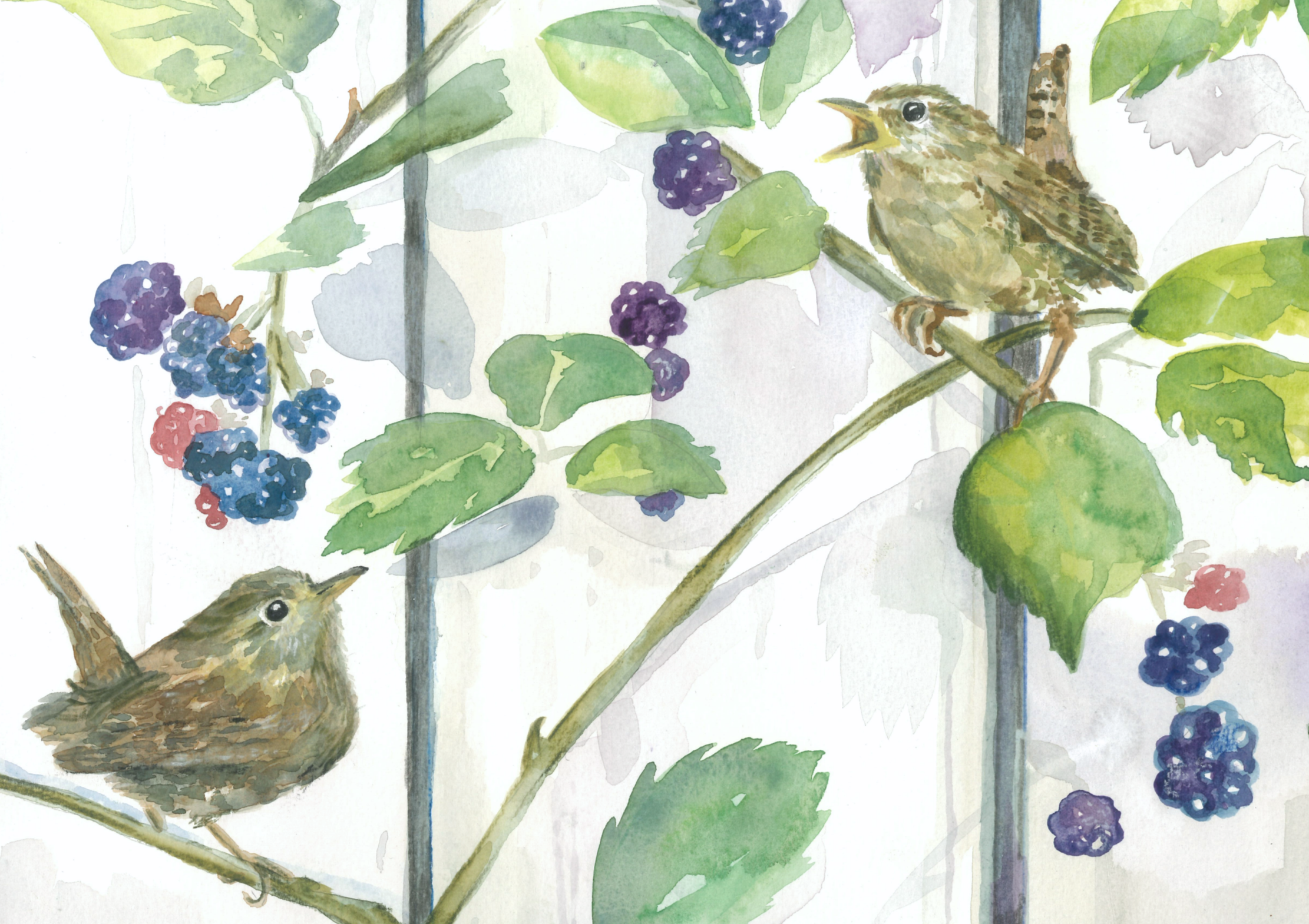 Watercolor painting of a small bird perched on a branch surrounded by green leaves and clusters of purple berries.