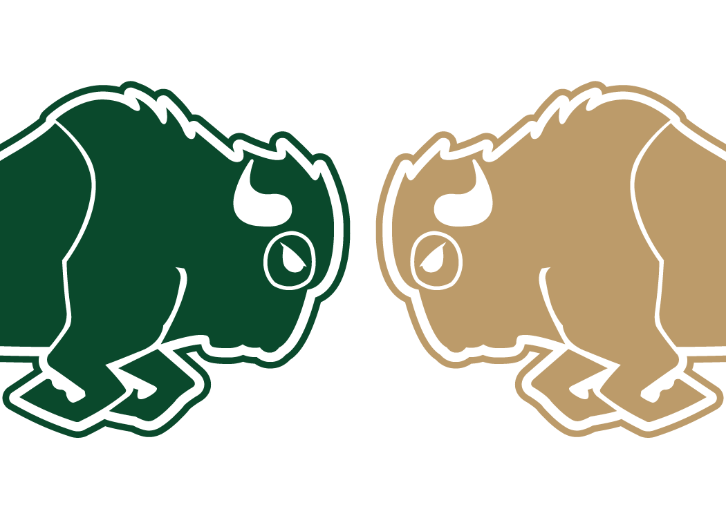 Football - Green and Gold Game