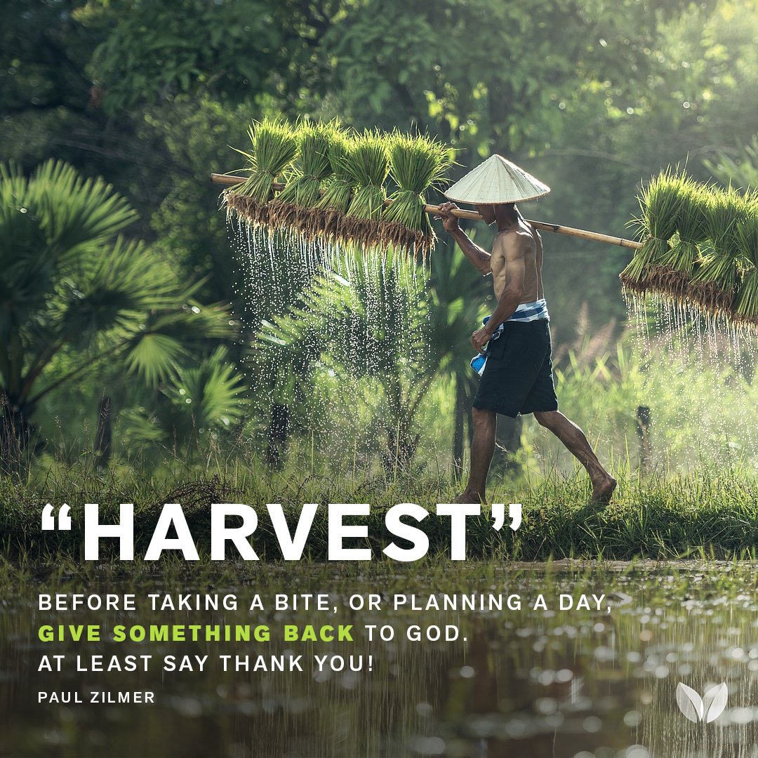 Harvest