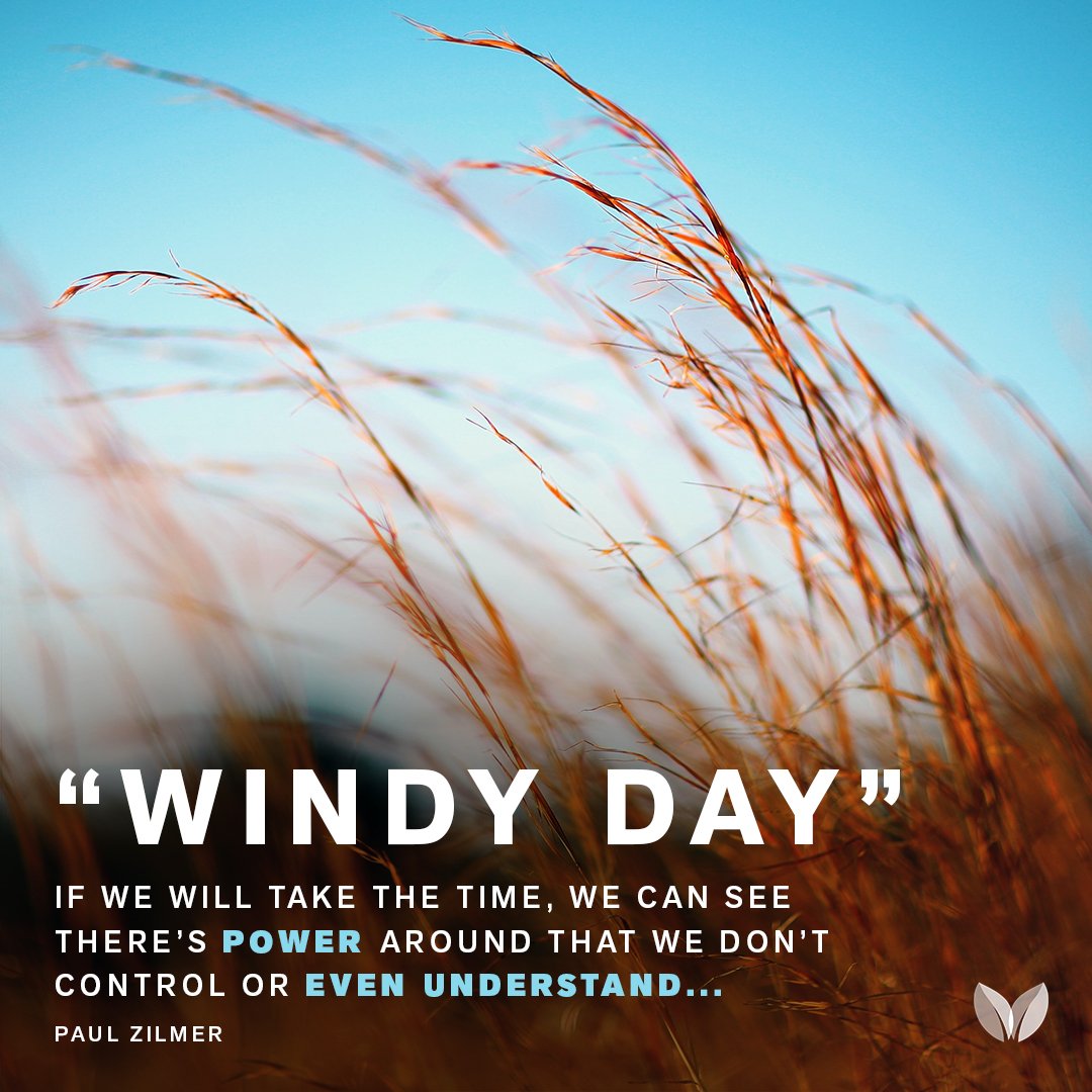 Windy day