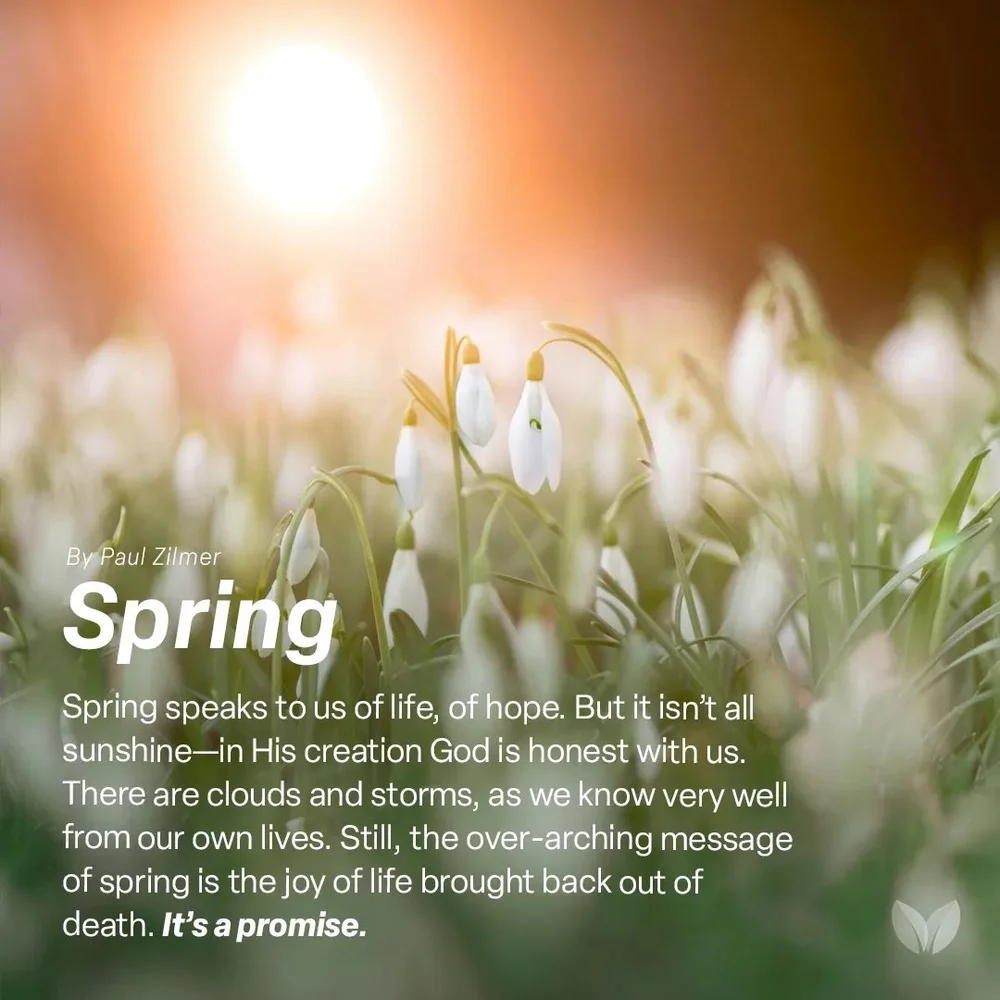 Spring — Williamsburg Christadelphian Foundation