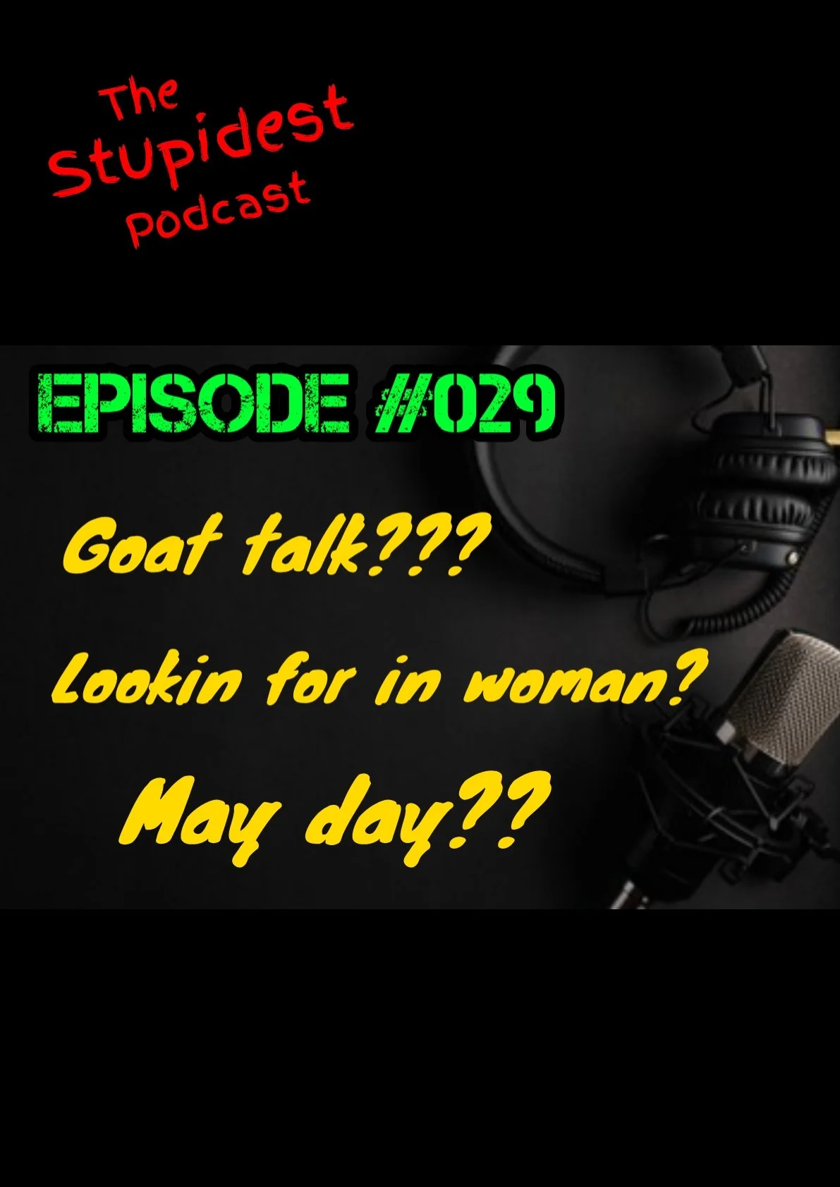The Stupidest Podcast