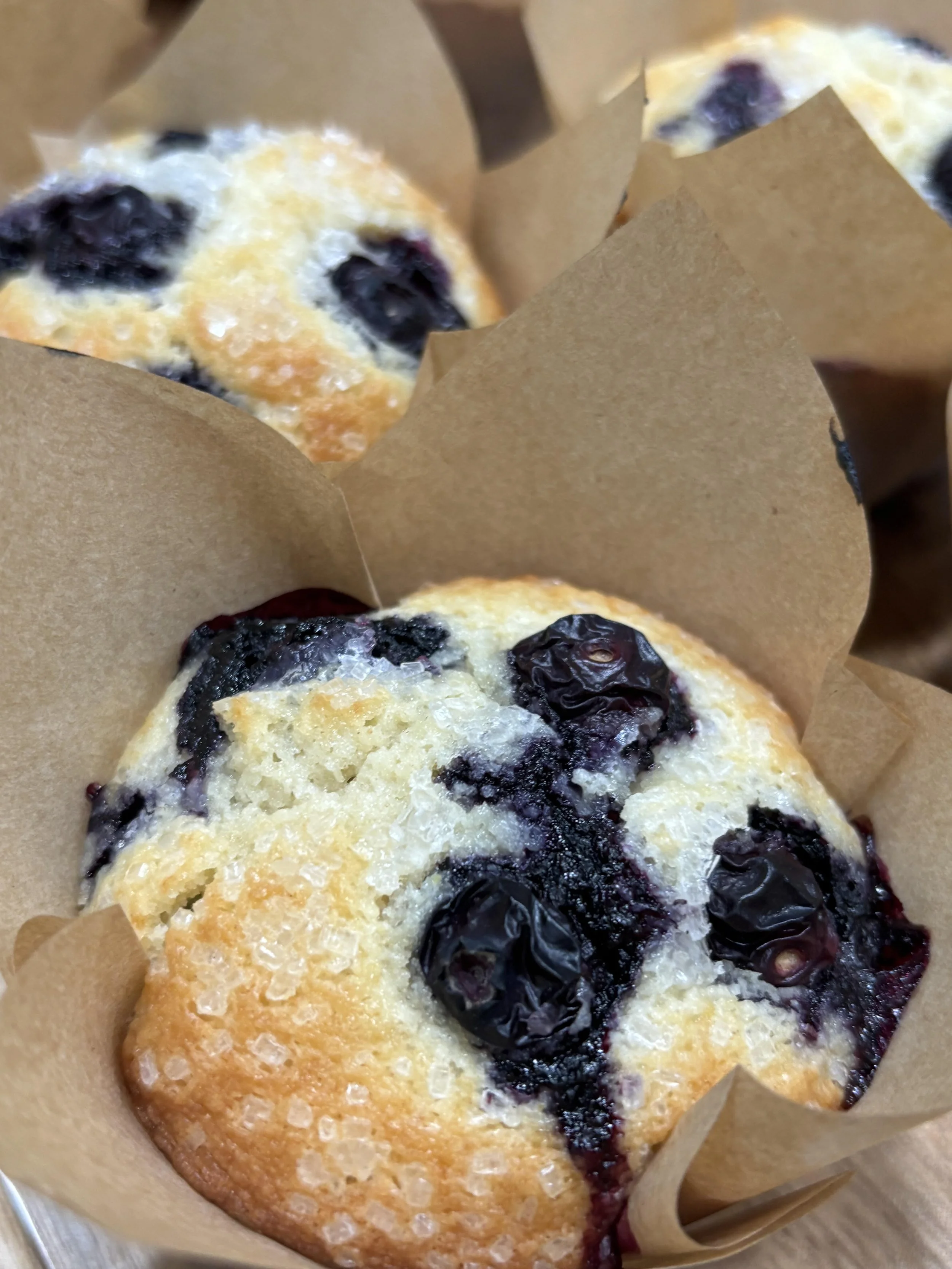 bb muffins.jpg