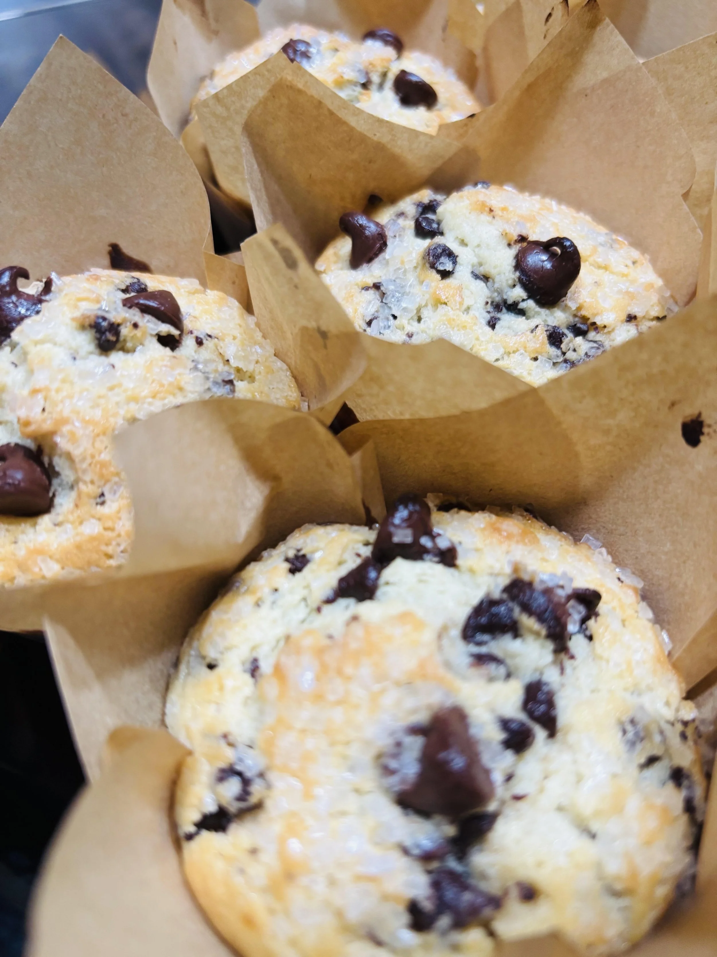 choco chip muffin.jpg
