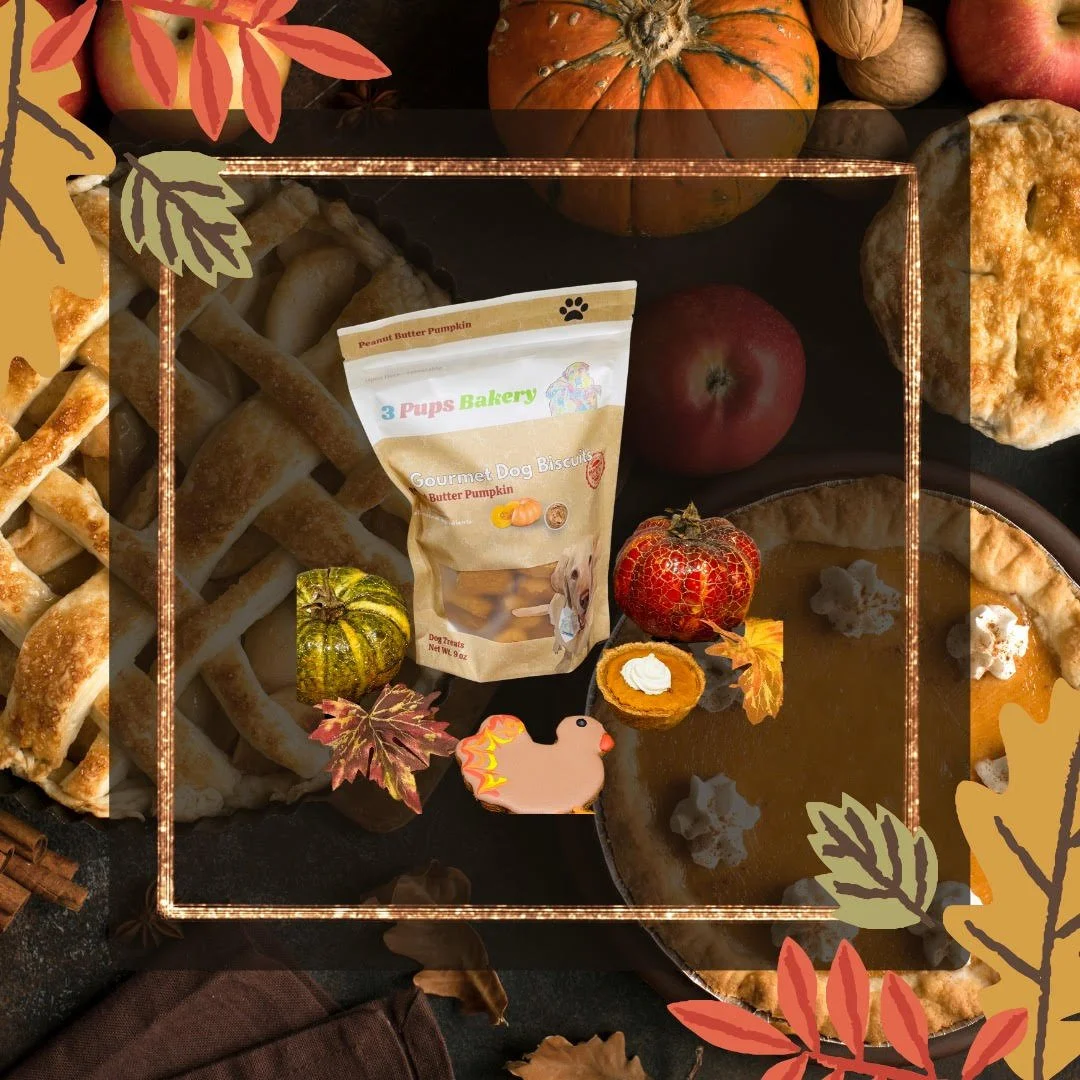 Thanksgiving website pic.jpg