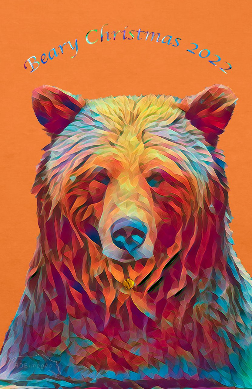 Covid-Grizzly Bear-_T6A5642-Edit-Edit-Edit-4-Edit-Recovered.jpeg