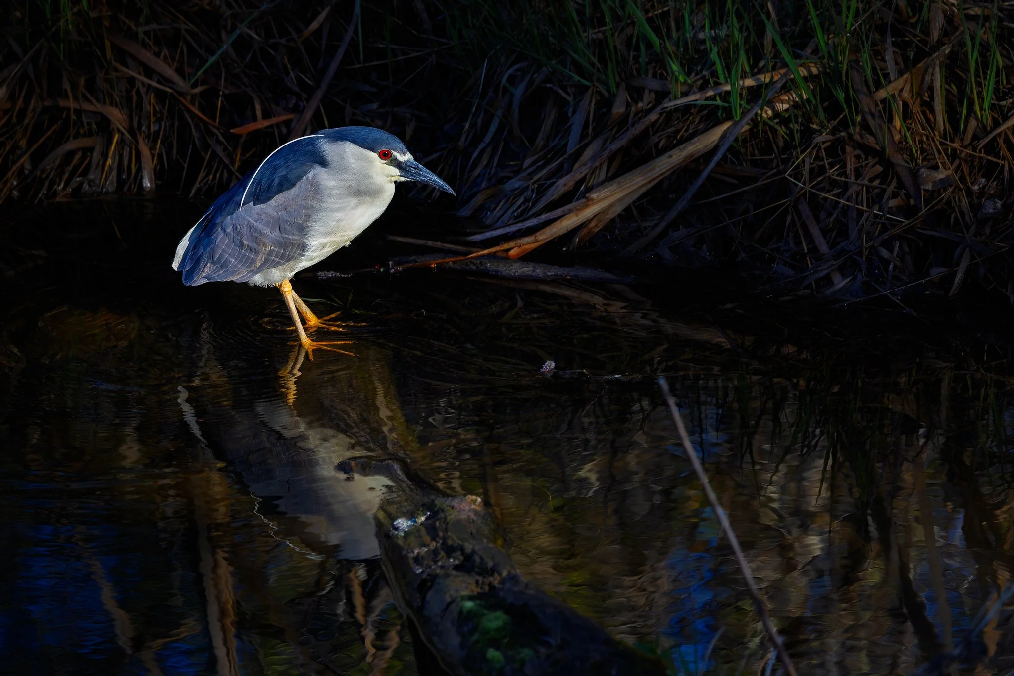 Contemplation