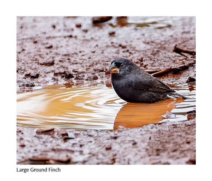 2025-10-03  Page 1.jpg